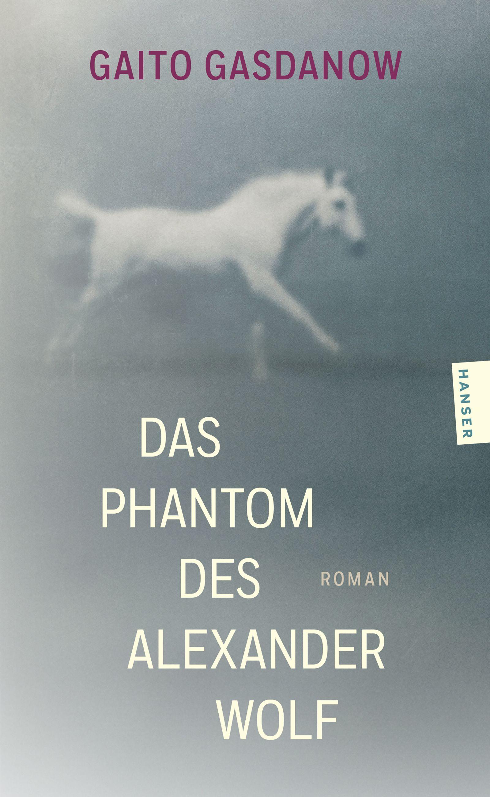 Vorderes Coverbild Das Phantom des Alexander Wolf