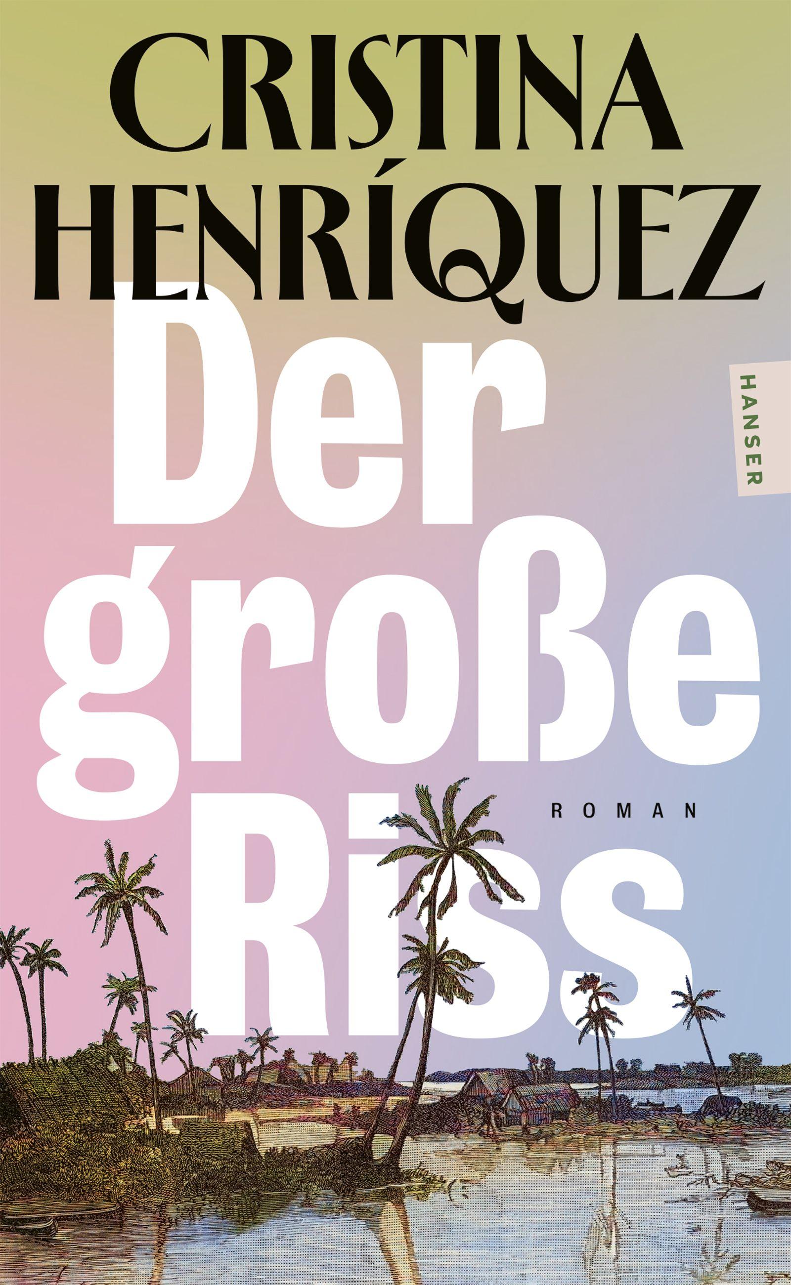 Vorderes Coverbild Der große Riss