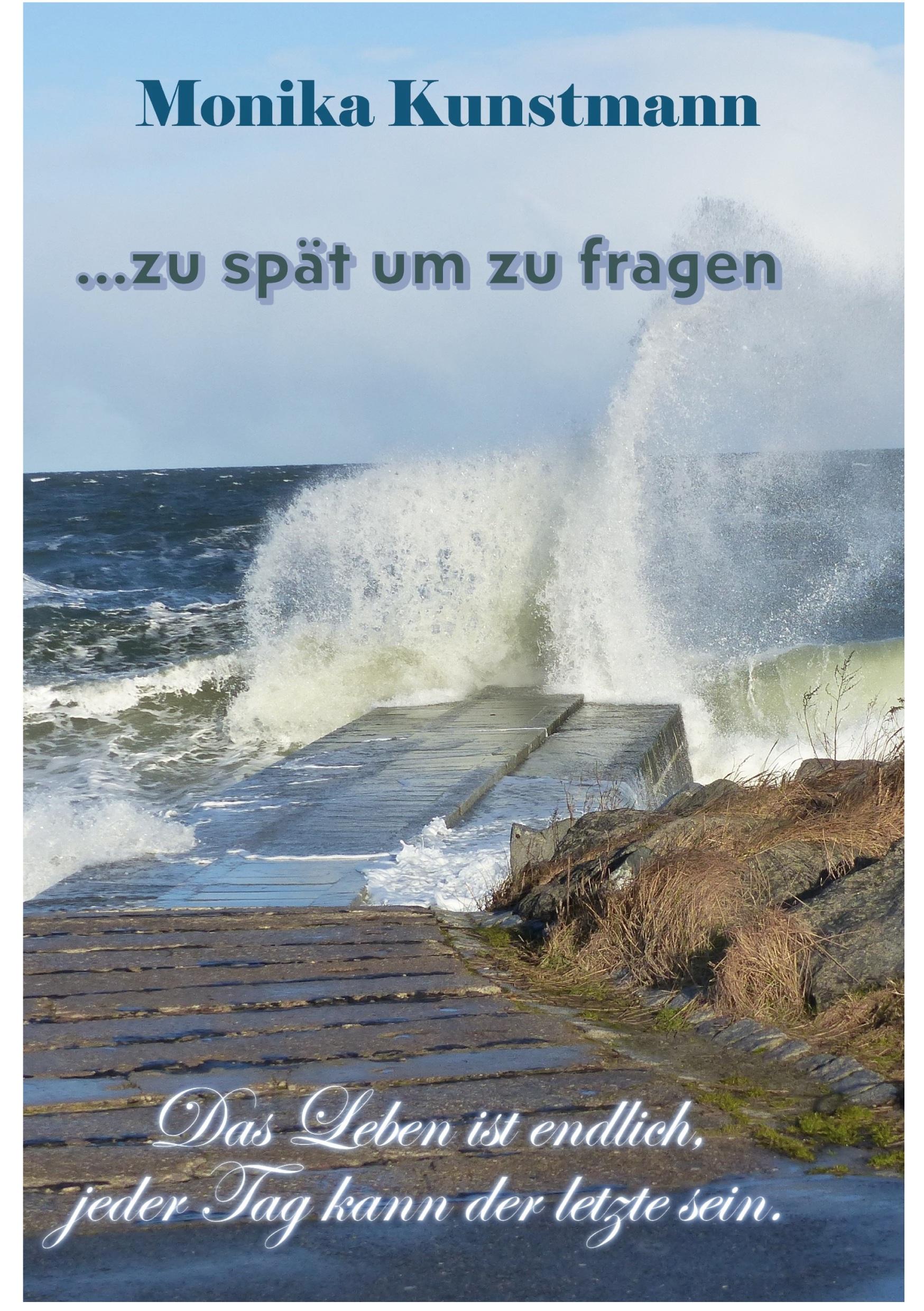 Vorderes Coverbild ... zu spät um zu fragen