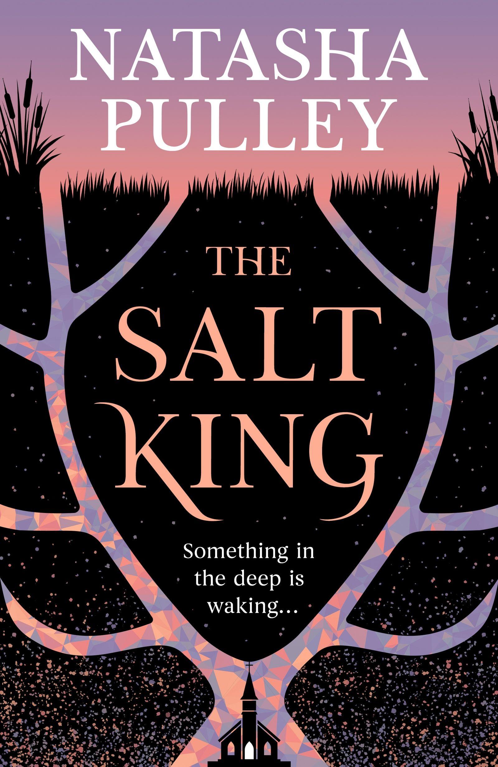 Vorderes Coverbild The Salt King