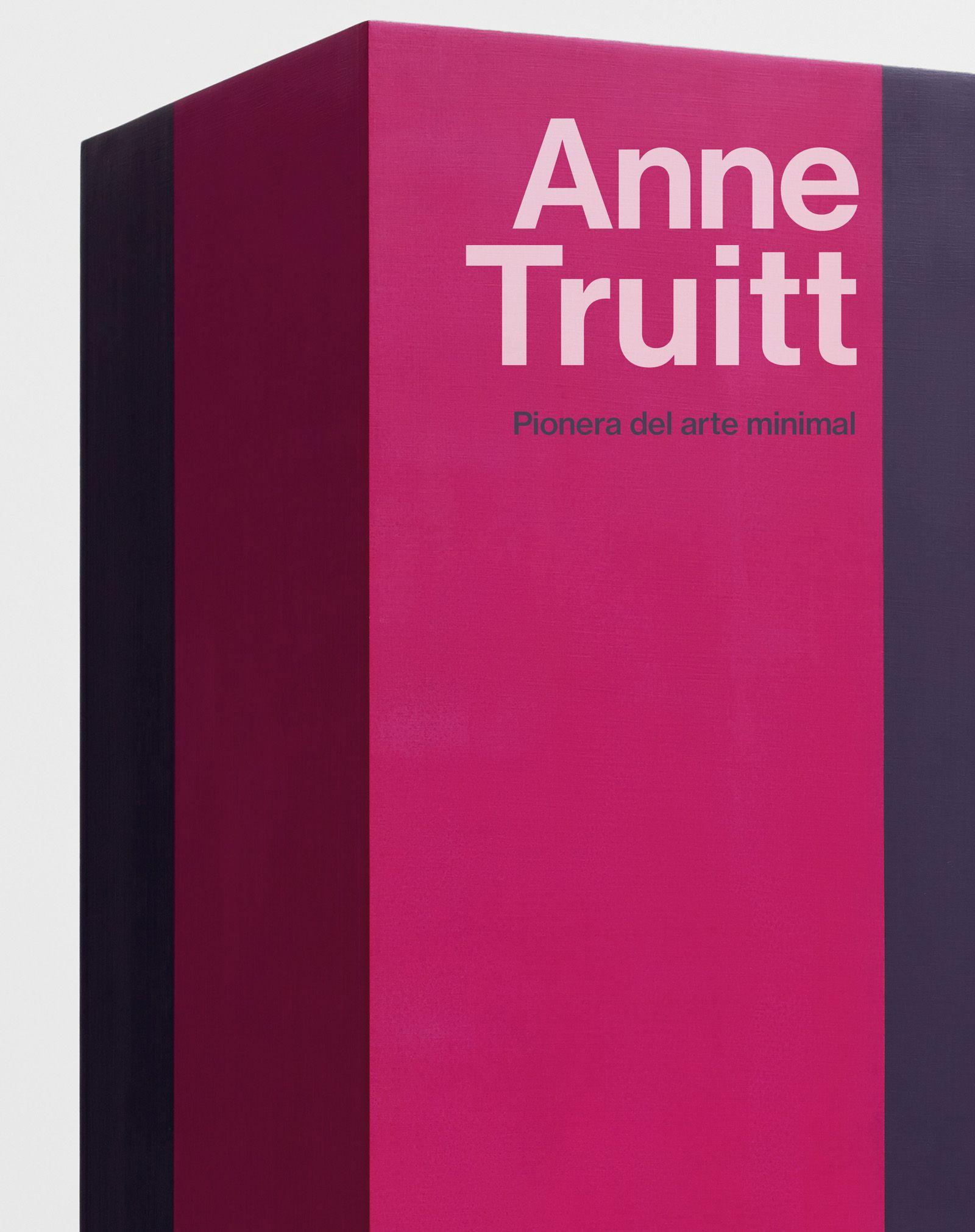 Vorderes Coverbild Anne Truitt