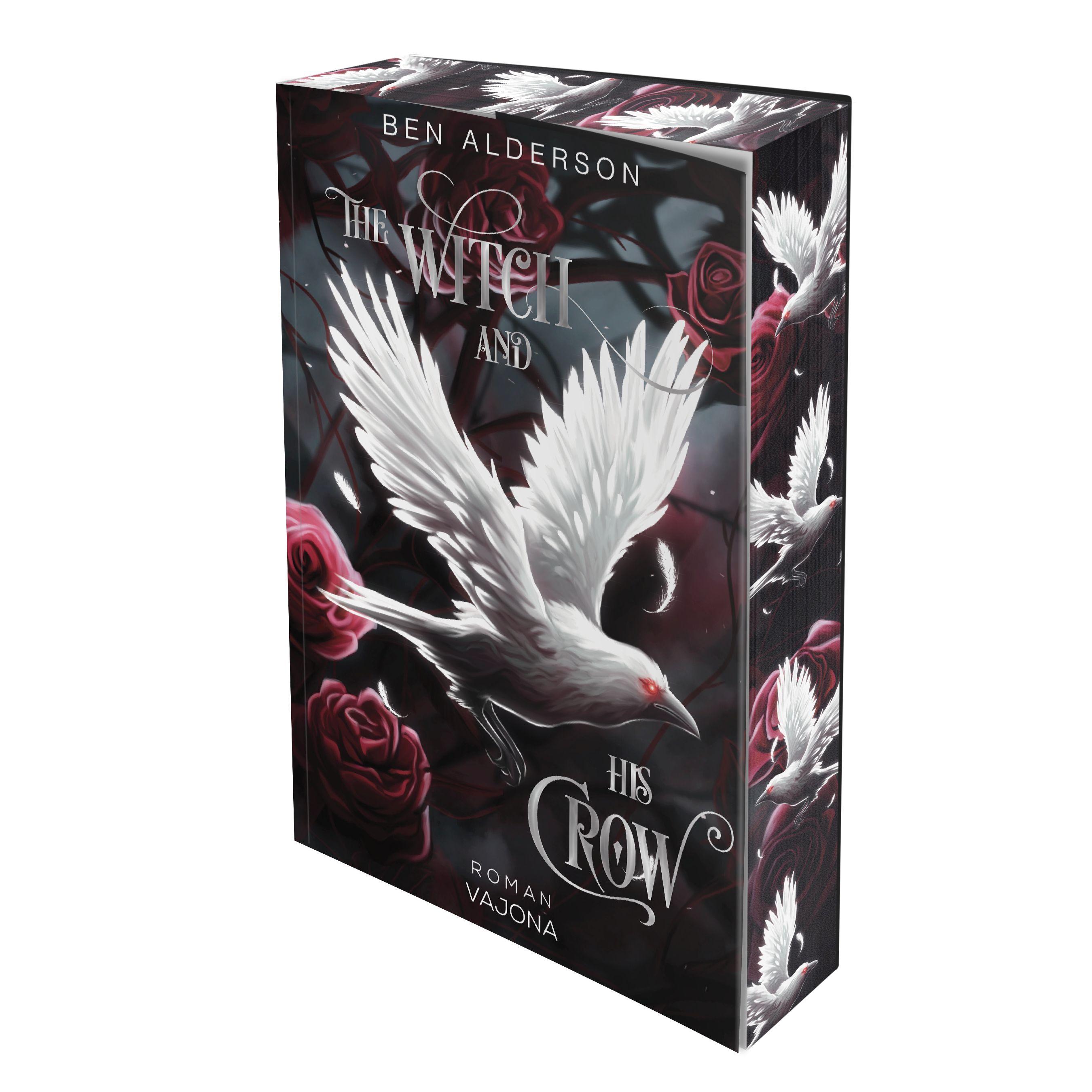 Vorderes Coverbild The Witch and His Crow