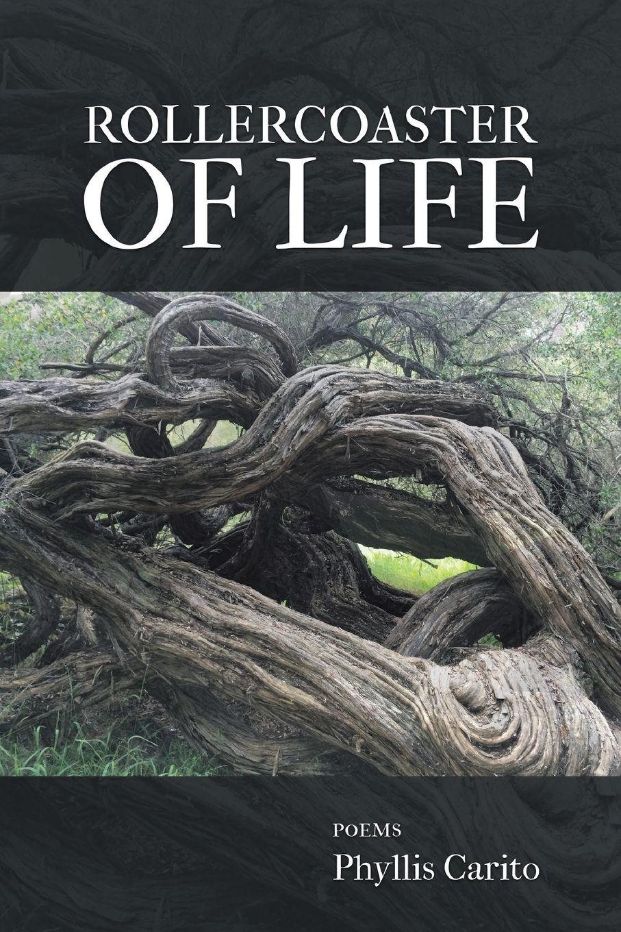 Vorderes Coverbild Rollercoaster of Life