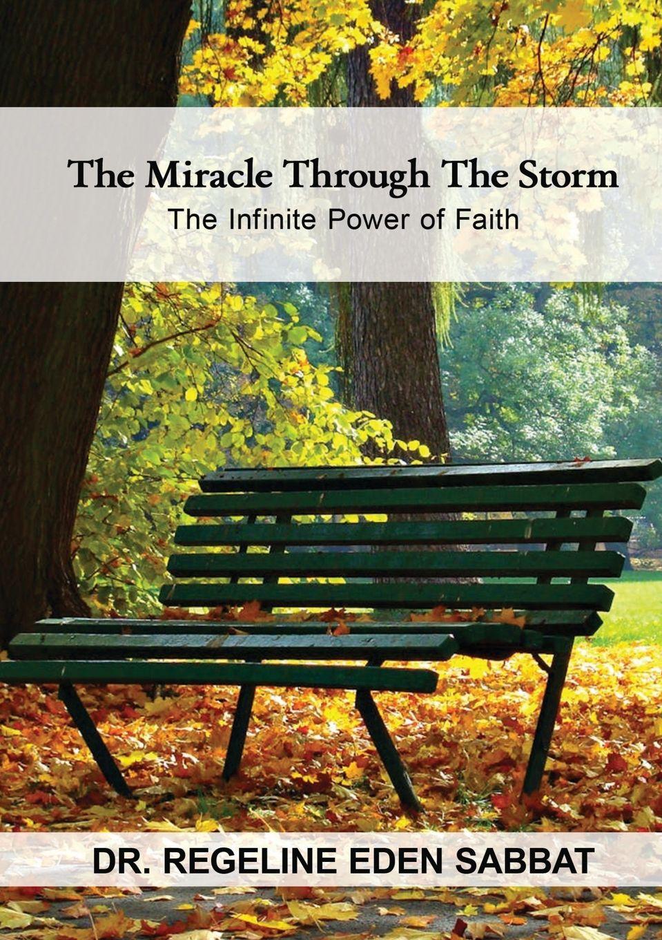 Vorderes Coverbild THE MIRACLE THROUGH THE STORM
