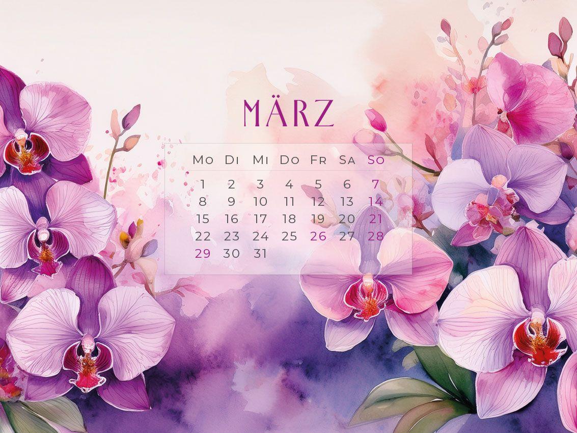 Beispielinhalt (Bild) Flowers - Ein Jahr in Blüte Kalender 2027