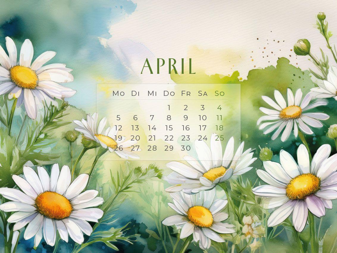 Beispielinhalt (Bild) Flowers - Ein Jahr in Blüte Kalender 2027