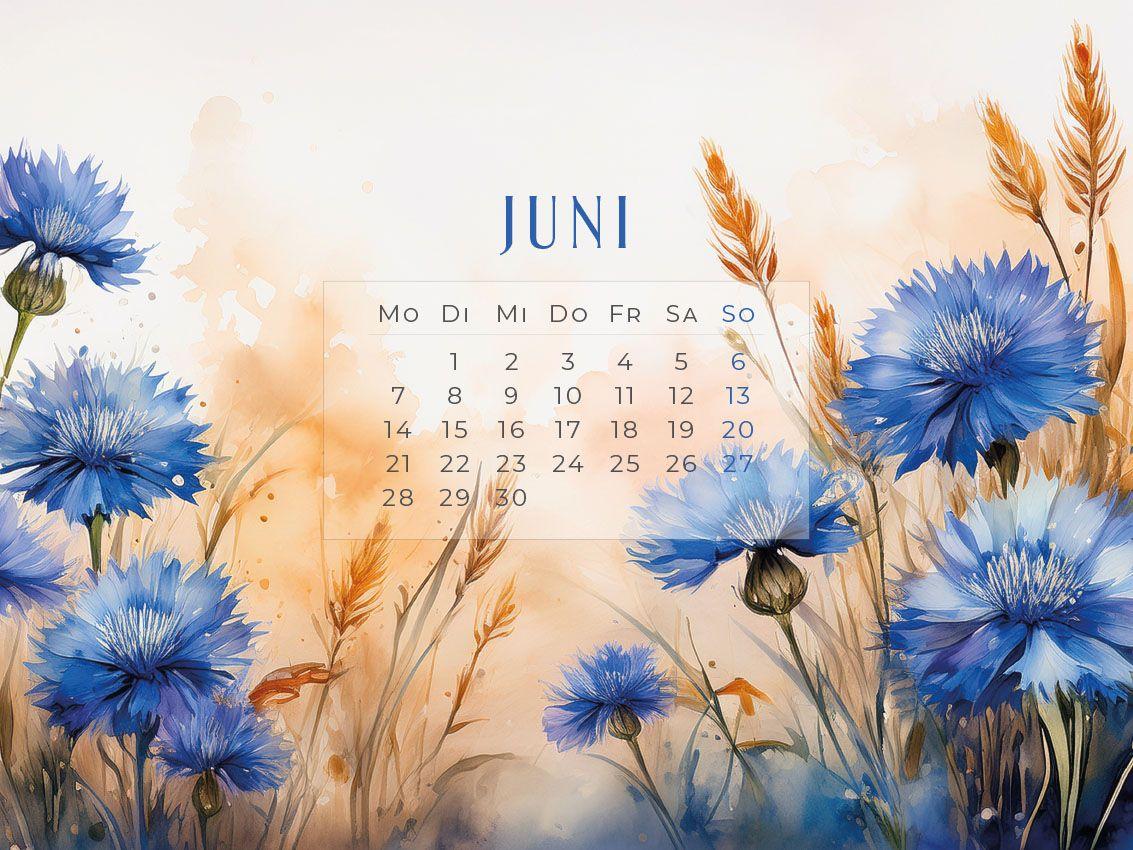 Beispielinhalt (Bild) Flowers - Ein Jahr in Blüte Kalender 2027