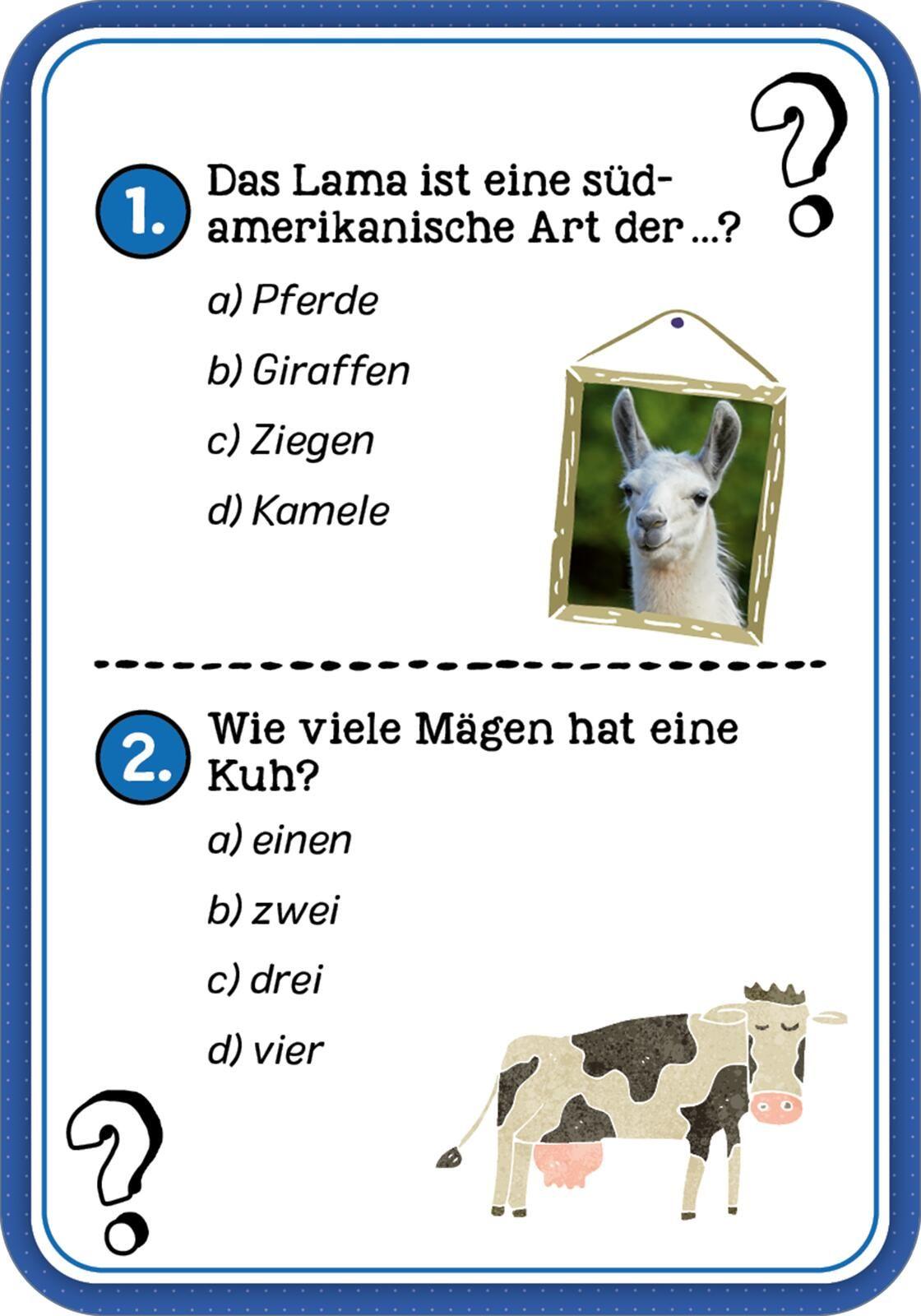 Beispielinhalt (Bild) Das Wissens-Quiz - Back to School