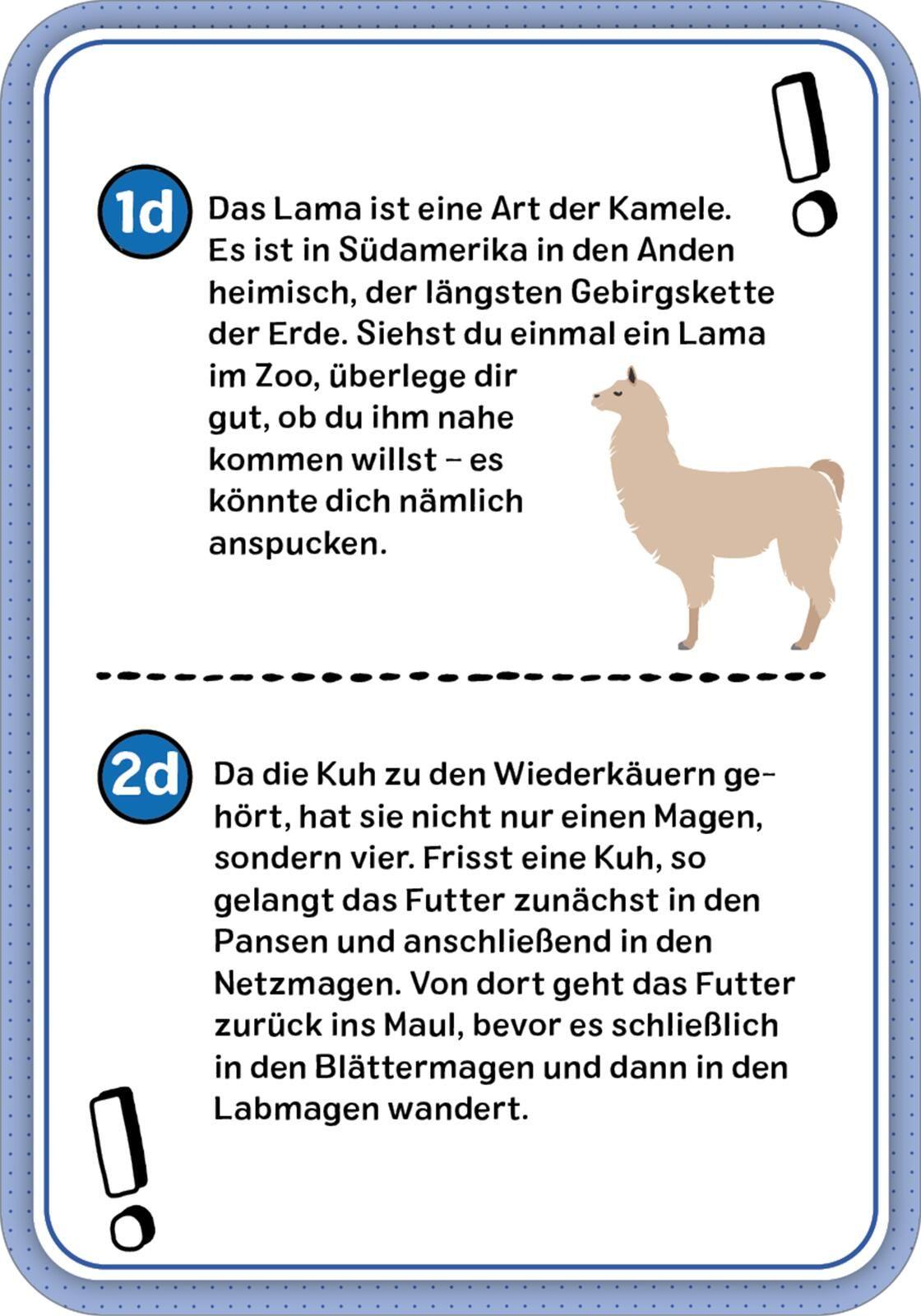 Beispielinhalt (Bild) Das Wissens-Quiz - Back to School