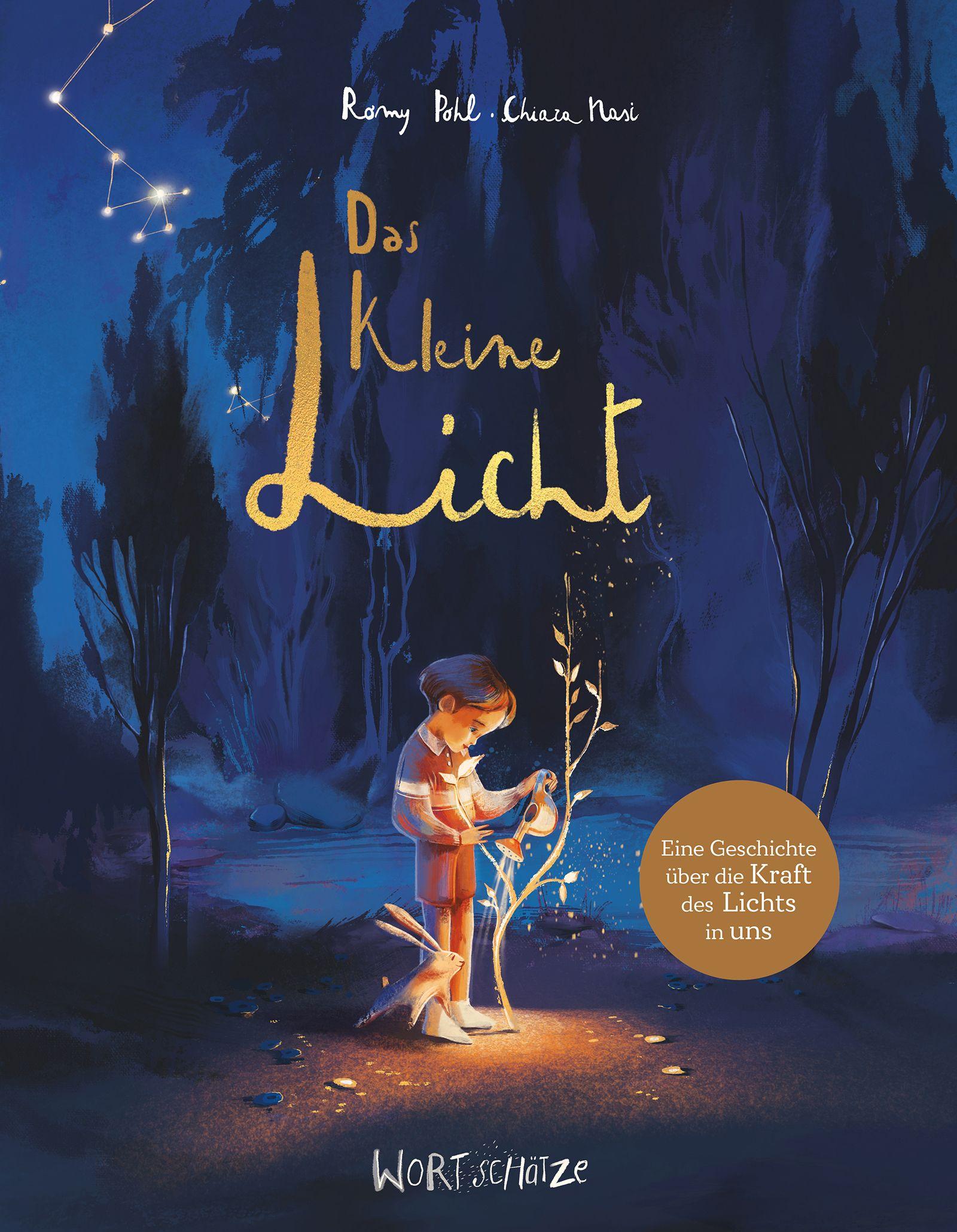 Vorderes Coverbild Das kleine Licht