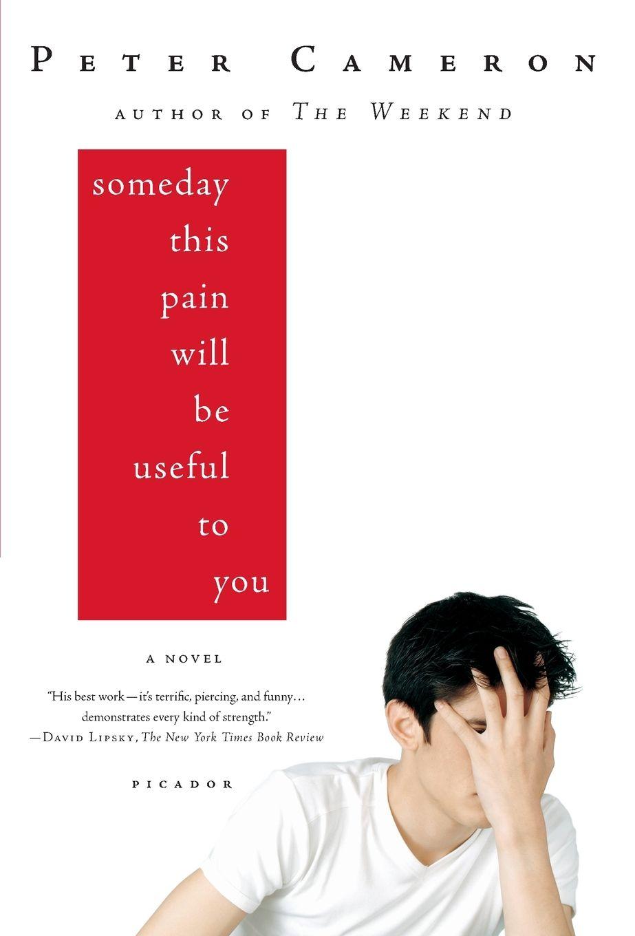 Vorderes Coverbild Someday This Pain Will Be Useful to You