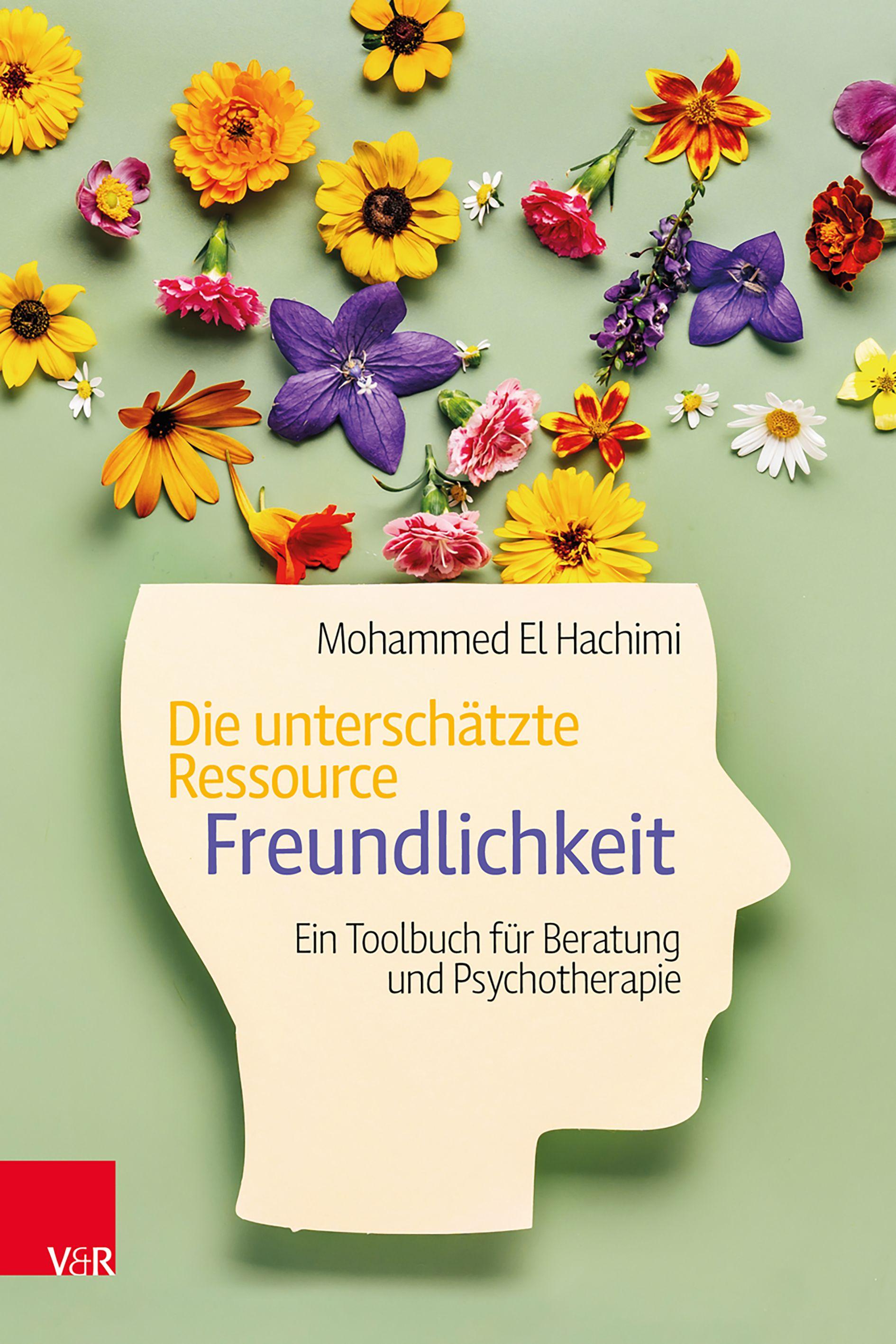 Vorderes Coverbild Die unterschätzte Ressource Freundlichkeit