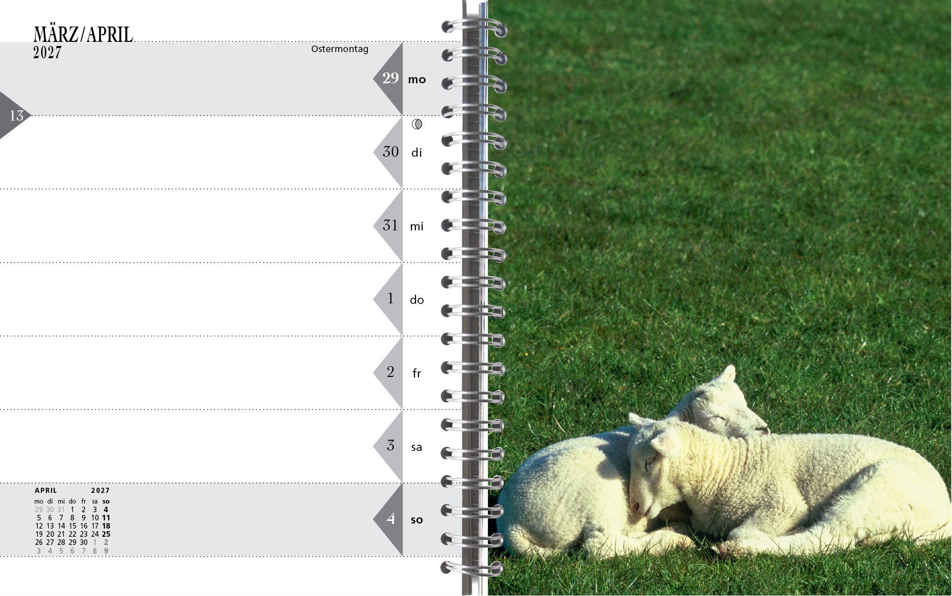 Beispielinhalt (Bild) Sylt-die Insel 2027 Tischkalender