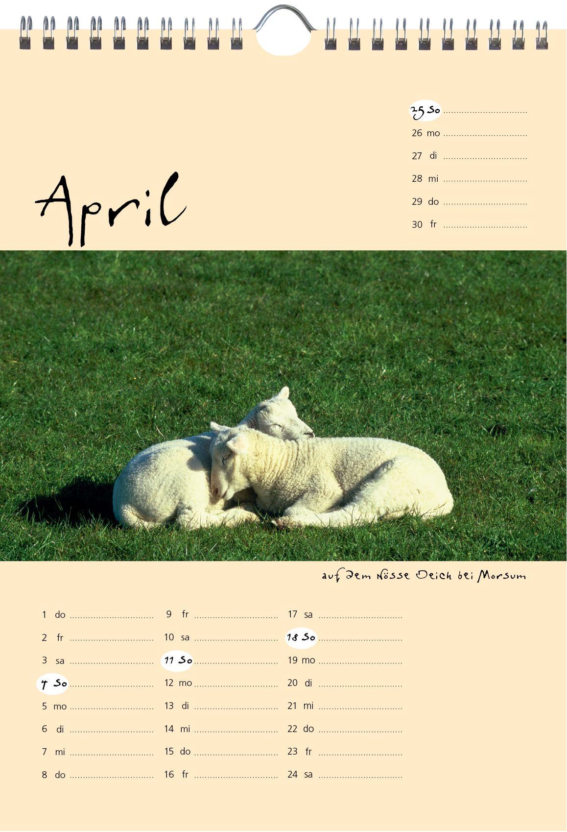 Beispielinhalt (Bild) Sylt-die Insel 2027 A4 Kalender