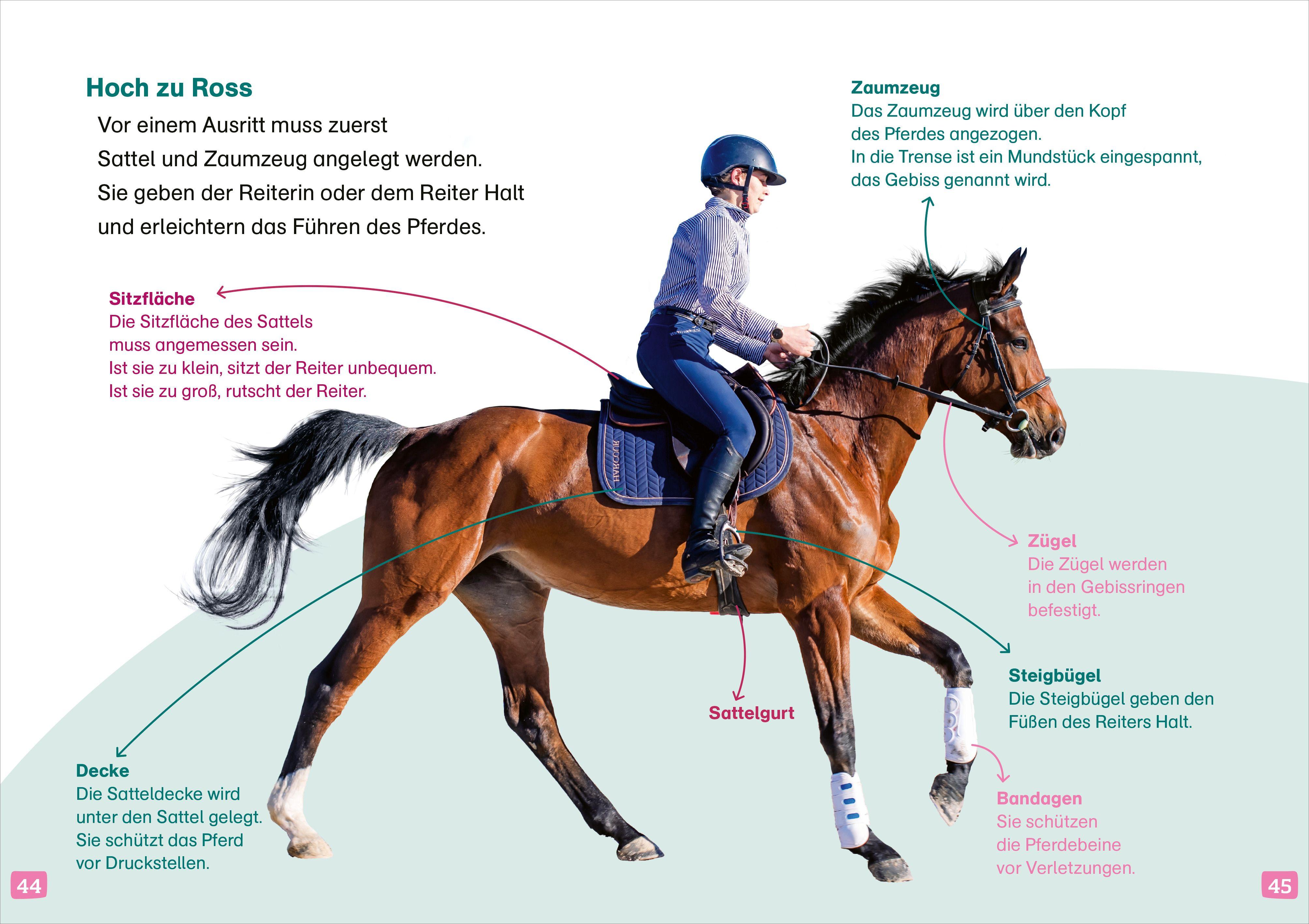 Beispielinhalt (Bild) WAS IST WAS Erstes Lesen. Pferde und Ponys