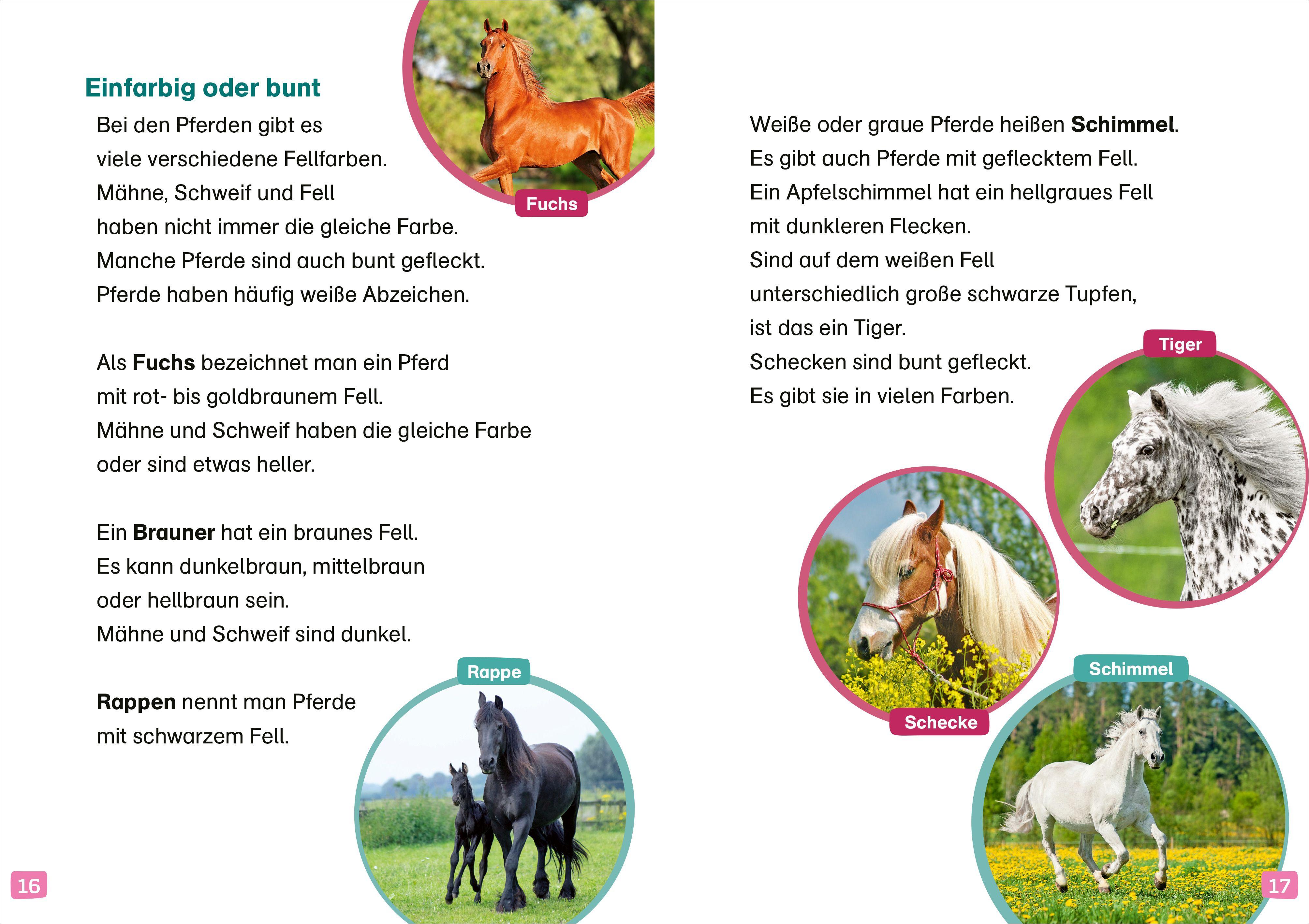 Beispielinhalt (Bild) WAS IST WAS Erstes Lesen. Pferde und Ponys