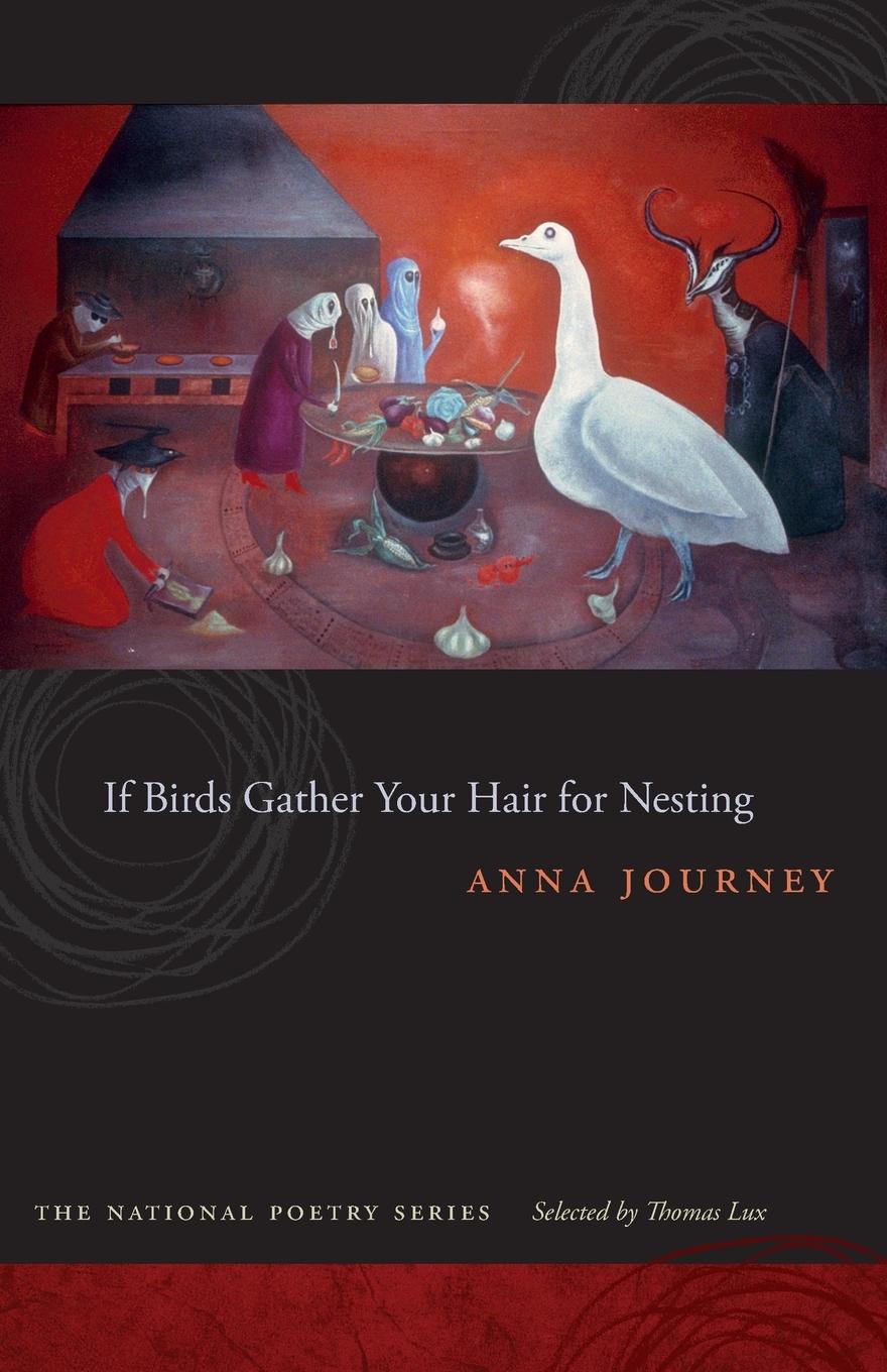 Vorderes Coverbild If Birds Gather Your Hair for Nesting