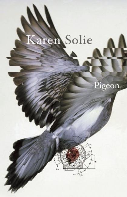 Vorderes Coverbild Pigeon