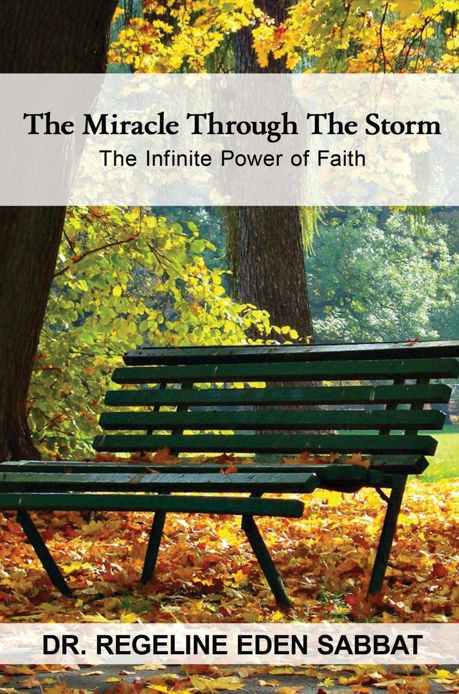 Vorderes Coverbild THE MIRACLE THROUGH THE STORM