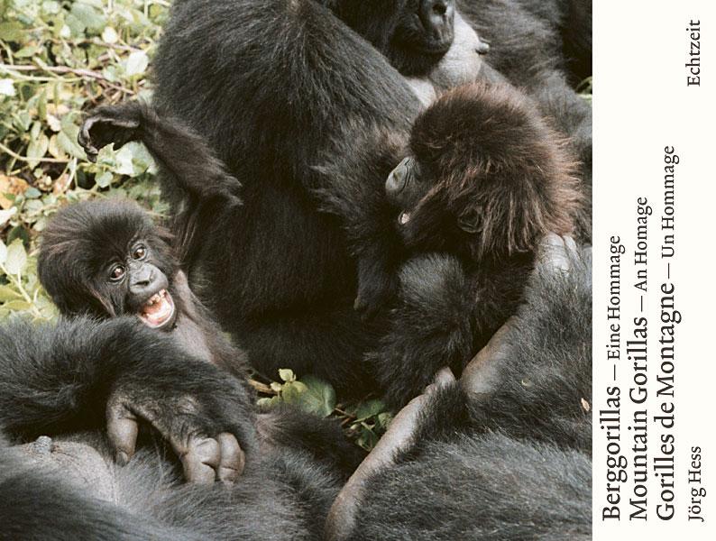 Vorderes Coverbild Berggorillas - Moutain Gorillas - Gorilles de Montagne