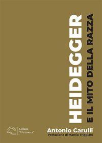 Vorderes Coverbild Heidegger e il mito della razza