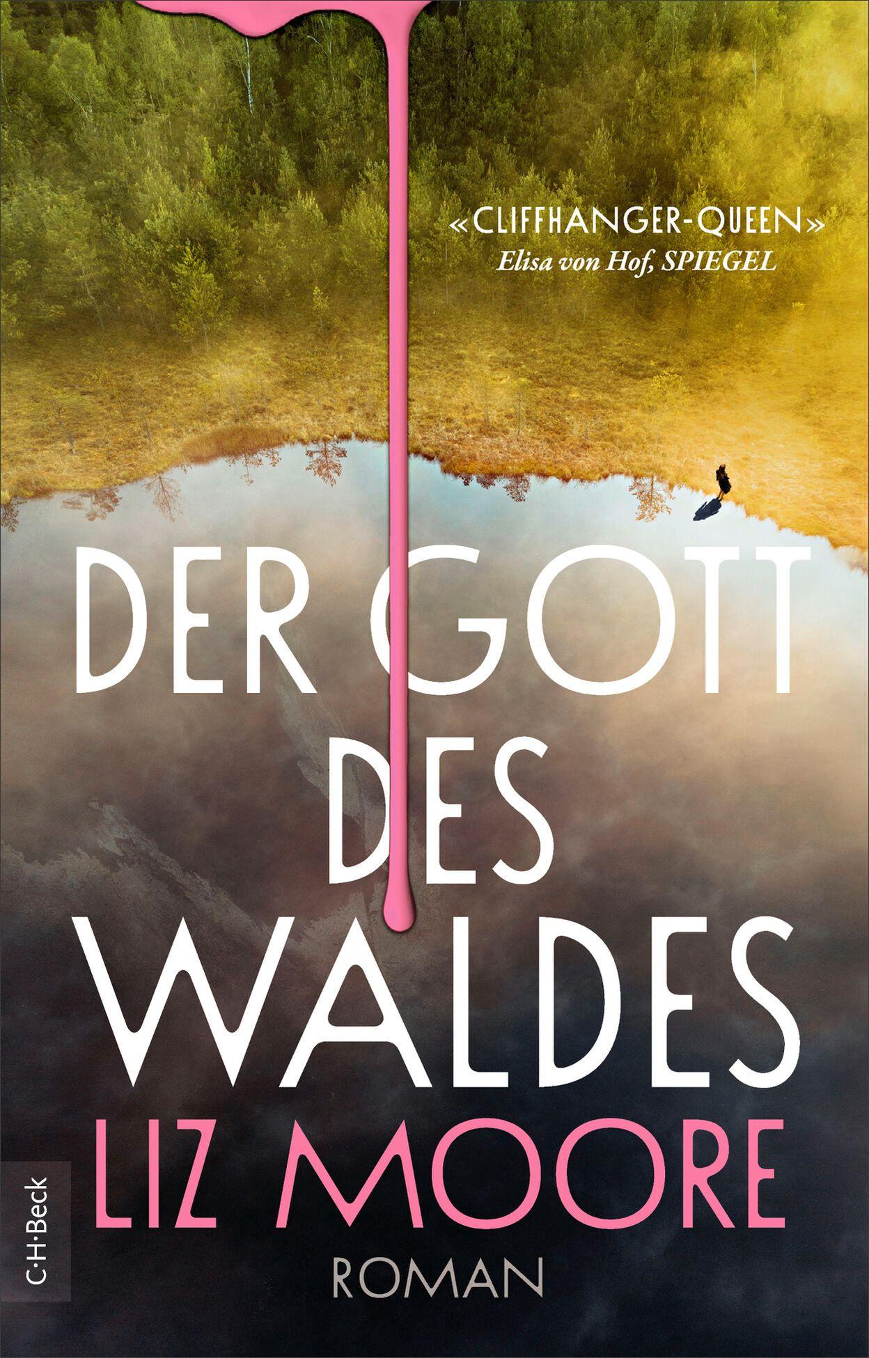 Vorderes Coverbild Der Gott des Waldes