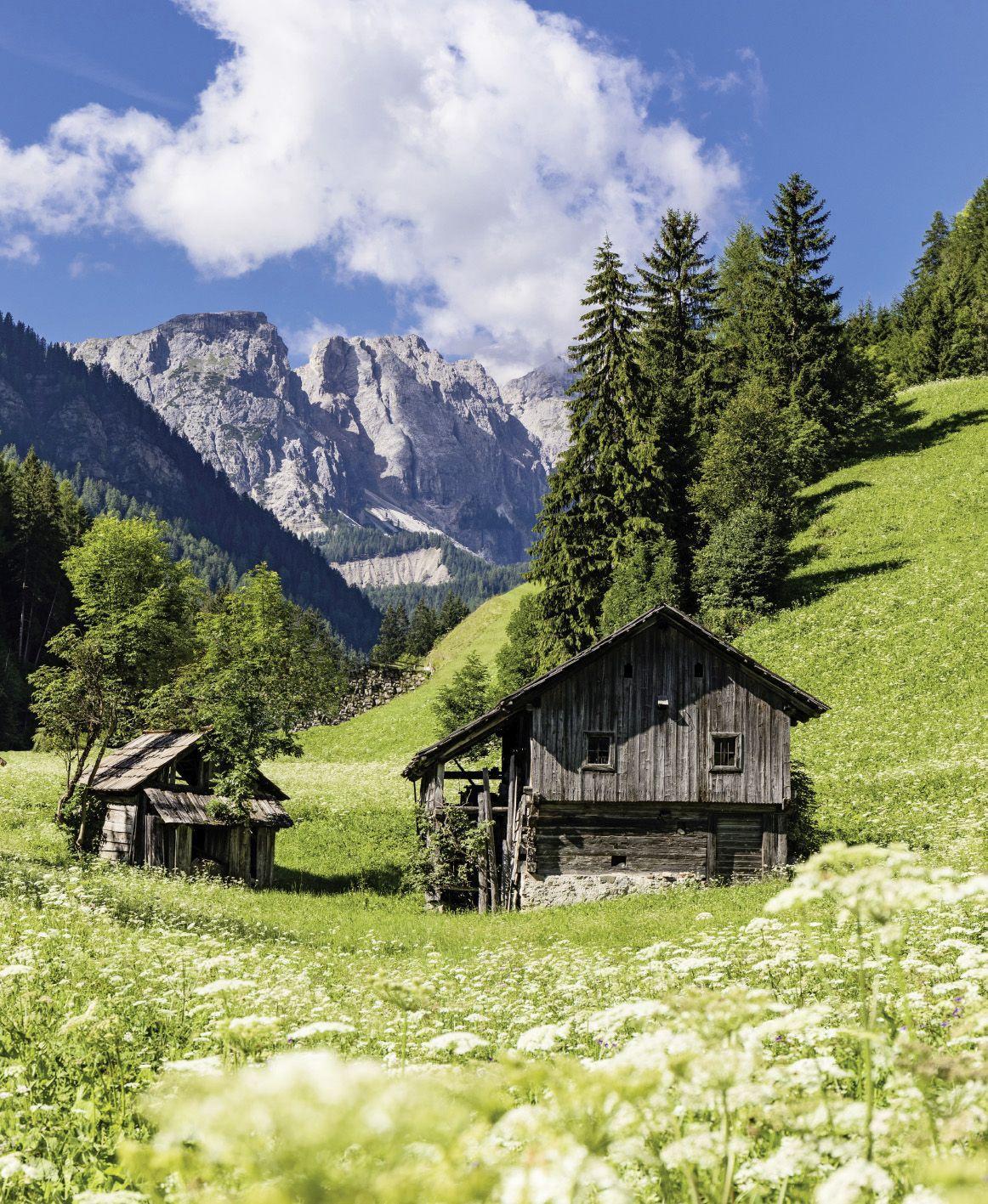 Beispielinhalt (Bild) motivation 2027