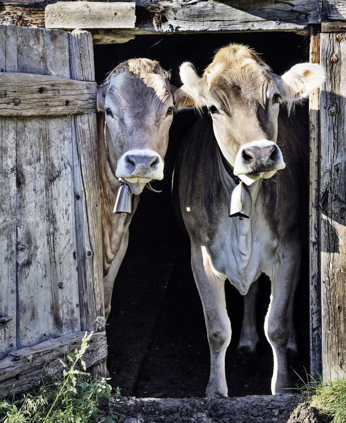 Beispielinhalt (Bild) motivation 2027