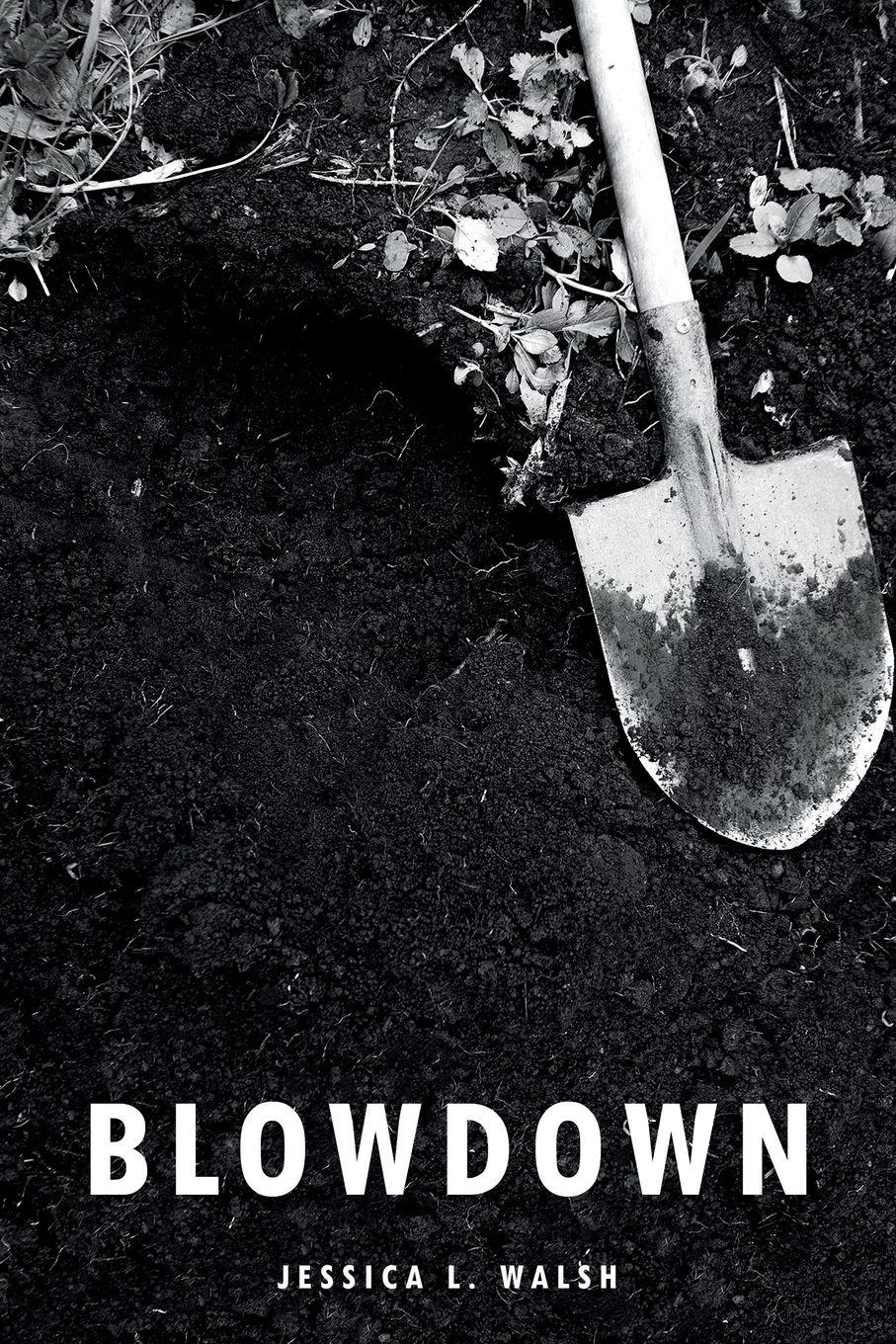 Vorderes Coverbild Blowdown