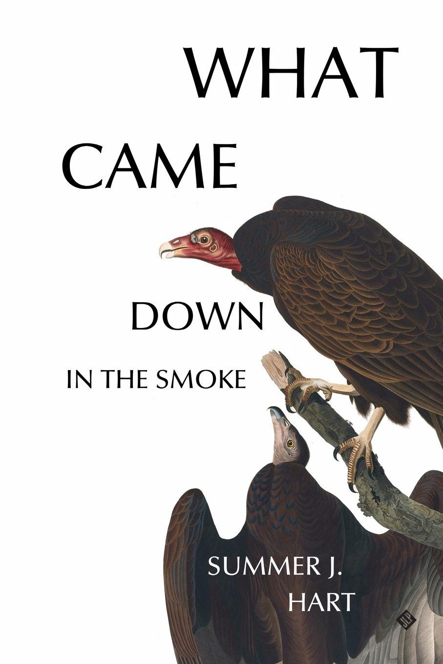 Vorderes Coverbild What Came Down in the Smoke