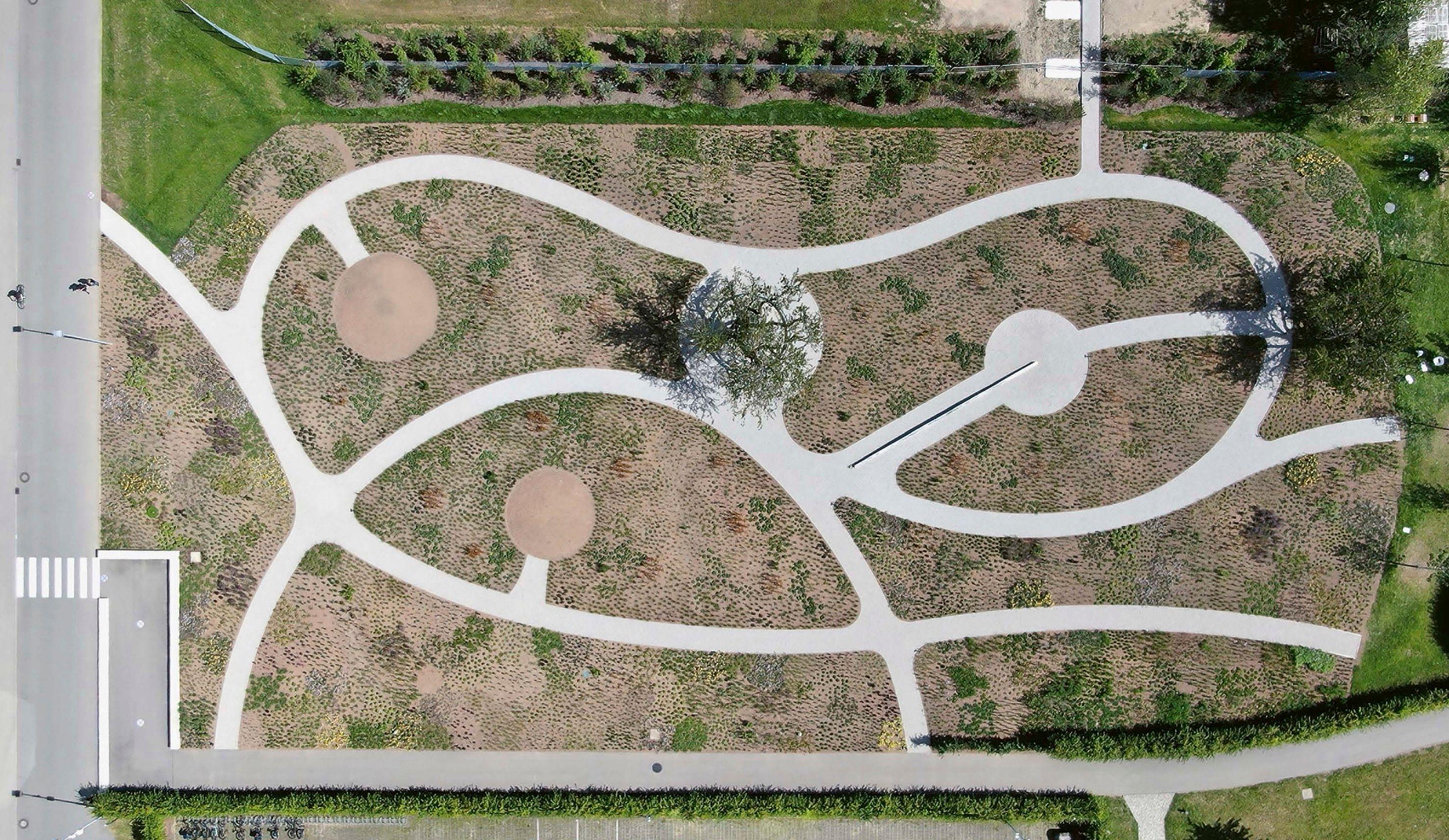 Beispielinhalt (Bild) Piet Oudolf. Das Werk