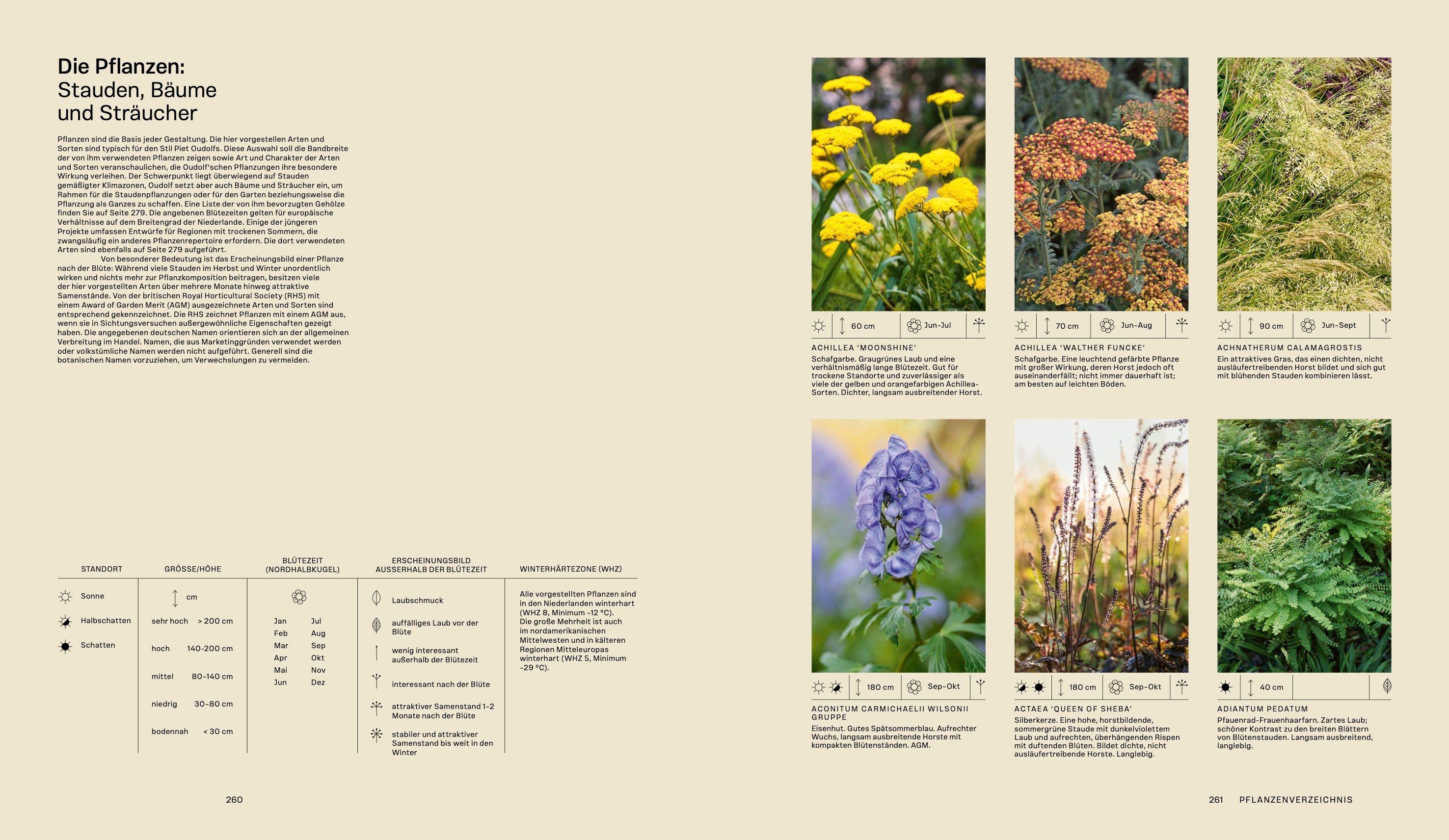 Beispielinhalt (Bild) Piet Oudolf. Das Werk