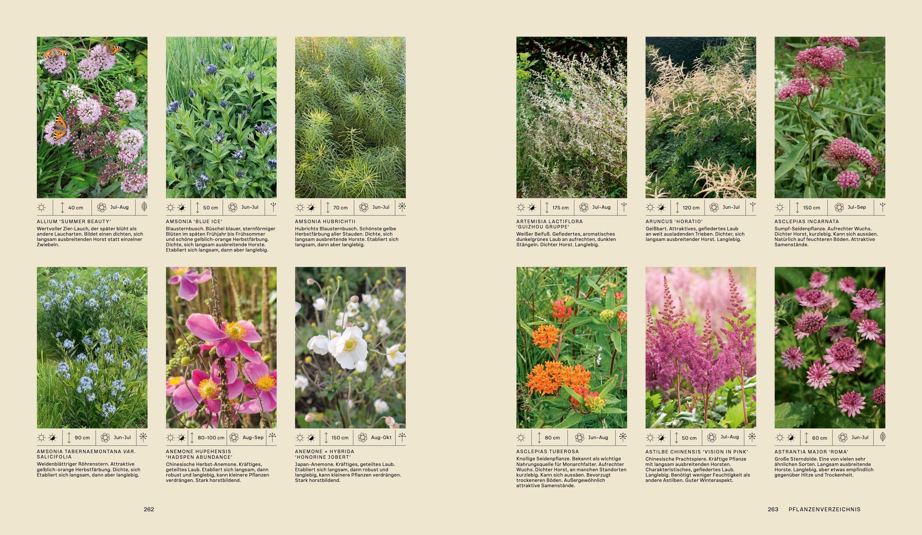 Beispielinhalt (Bild) Piet Oudolf. Das Werk