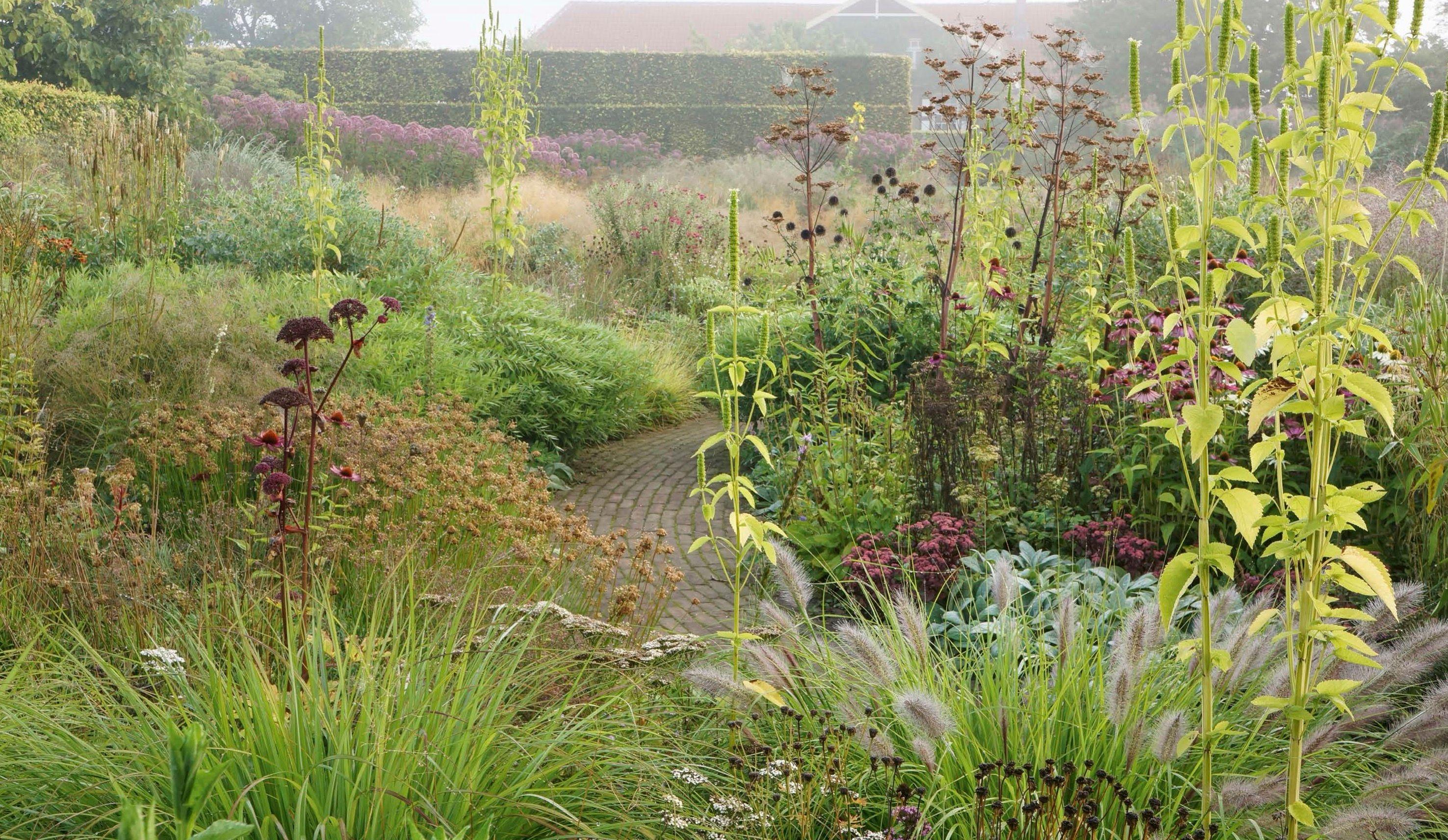 Beispielinhalt (Bild) Piet Oudolf. Das Werk