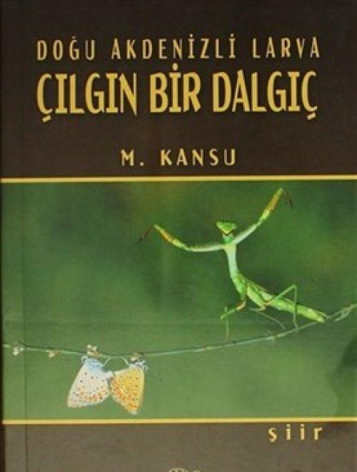 Vorderes Coverbild Dogu Akdenizli Larva Cilgin Bir Dalgic