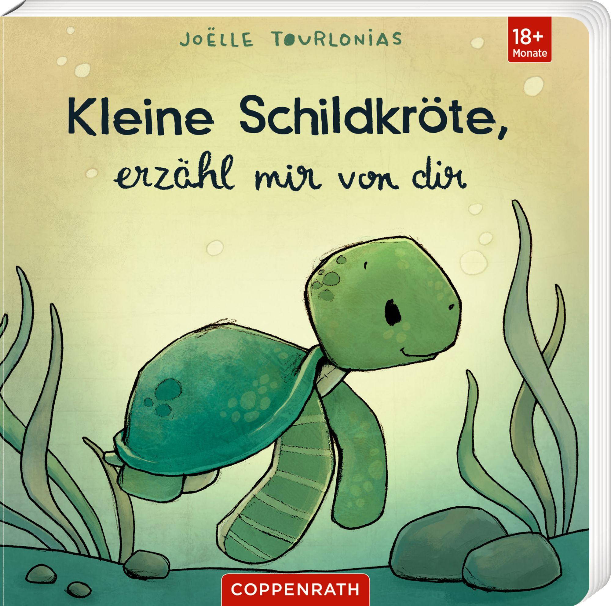 Vorderes Coverbild Kleine Schildkröte, erzähl mir von dir