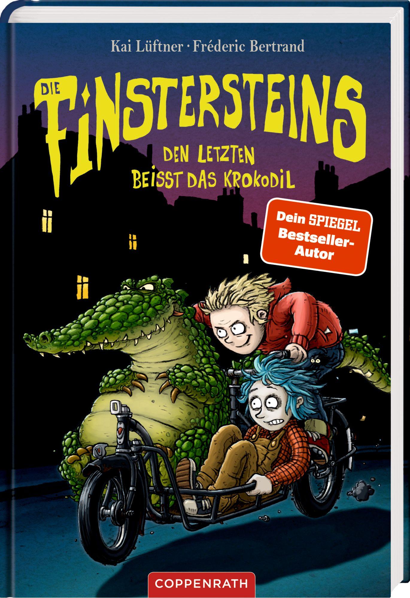 Vorderes Coverbild Die Finstersteins (Bd. 3)