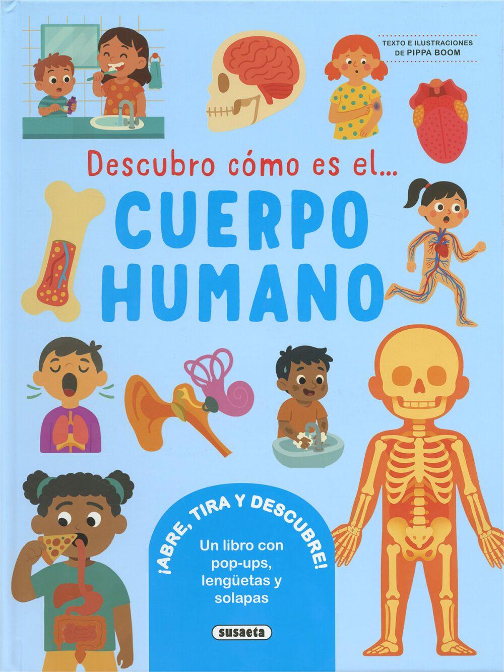 Beispielinhalt (Bild) Descubro cómo es el cuerpo humano