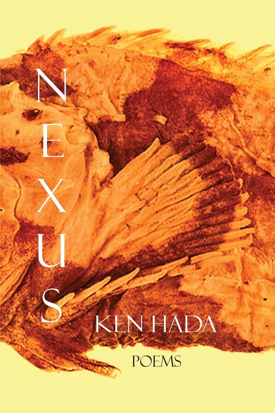 Vorderes Coverbild Nexus