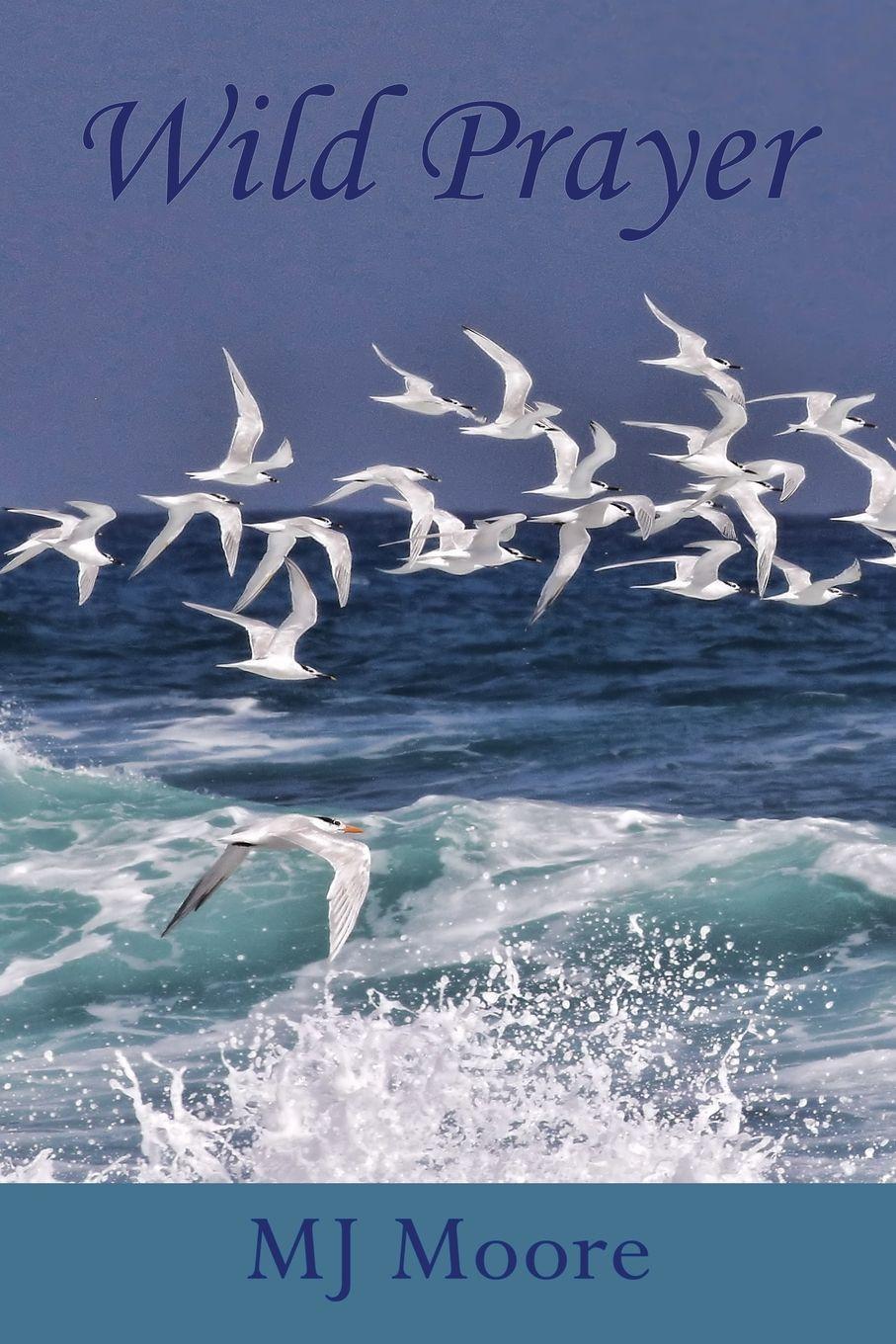 Vorderes Coverbild Wild Prayer