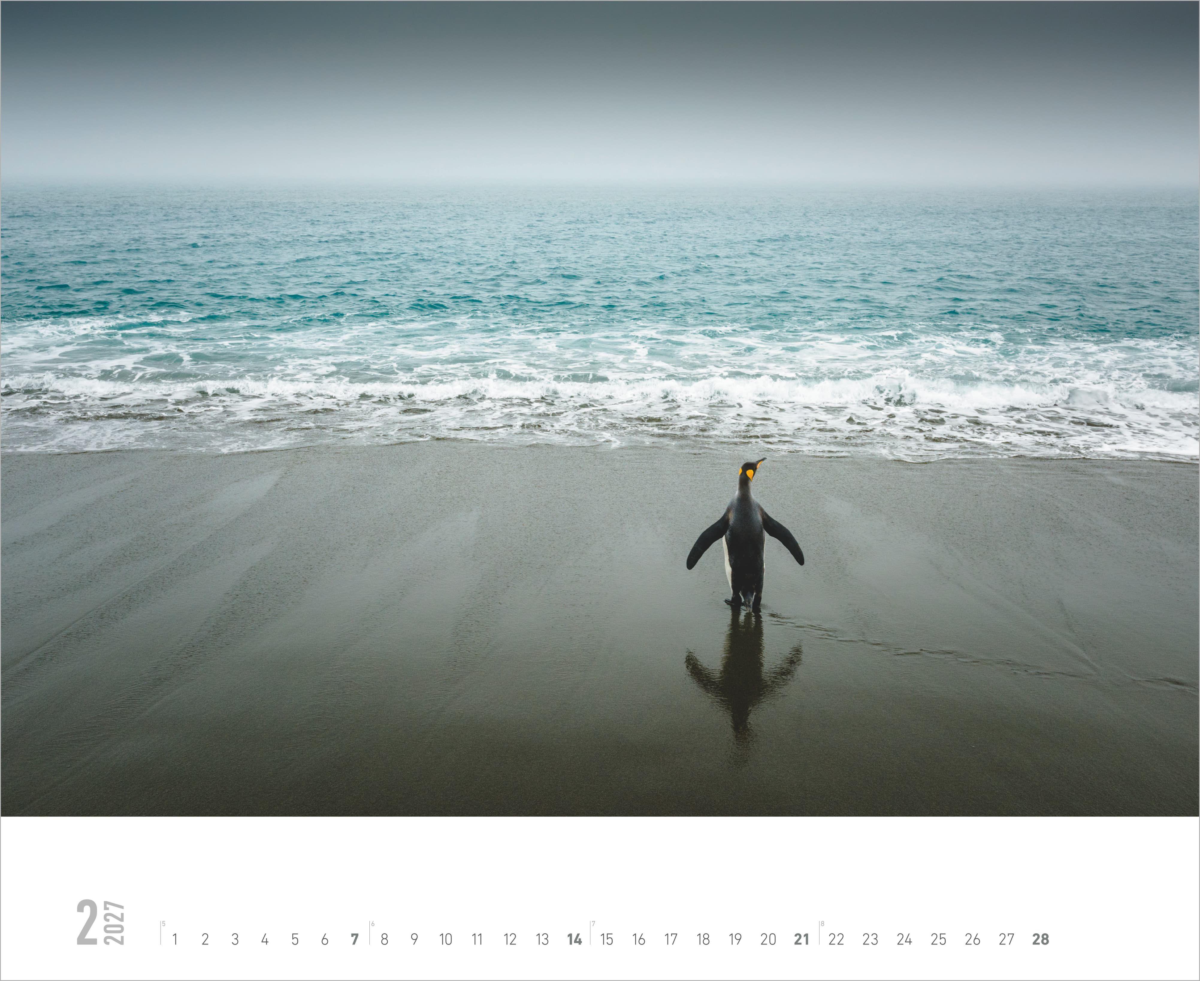 Beispielinhalt (Bild) Meer 2027