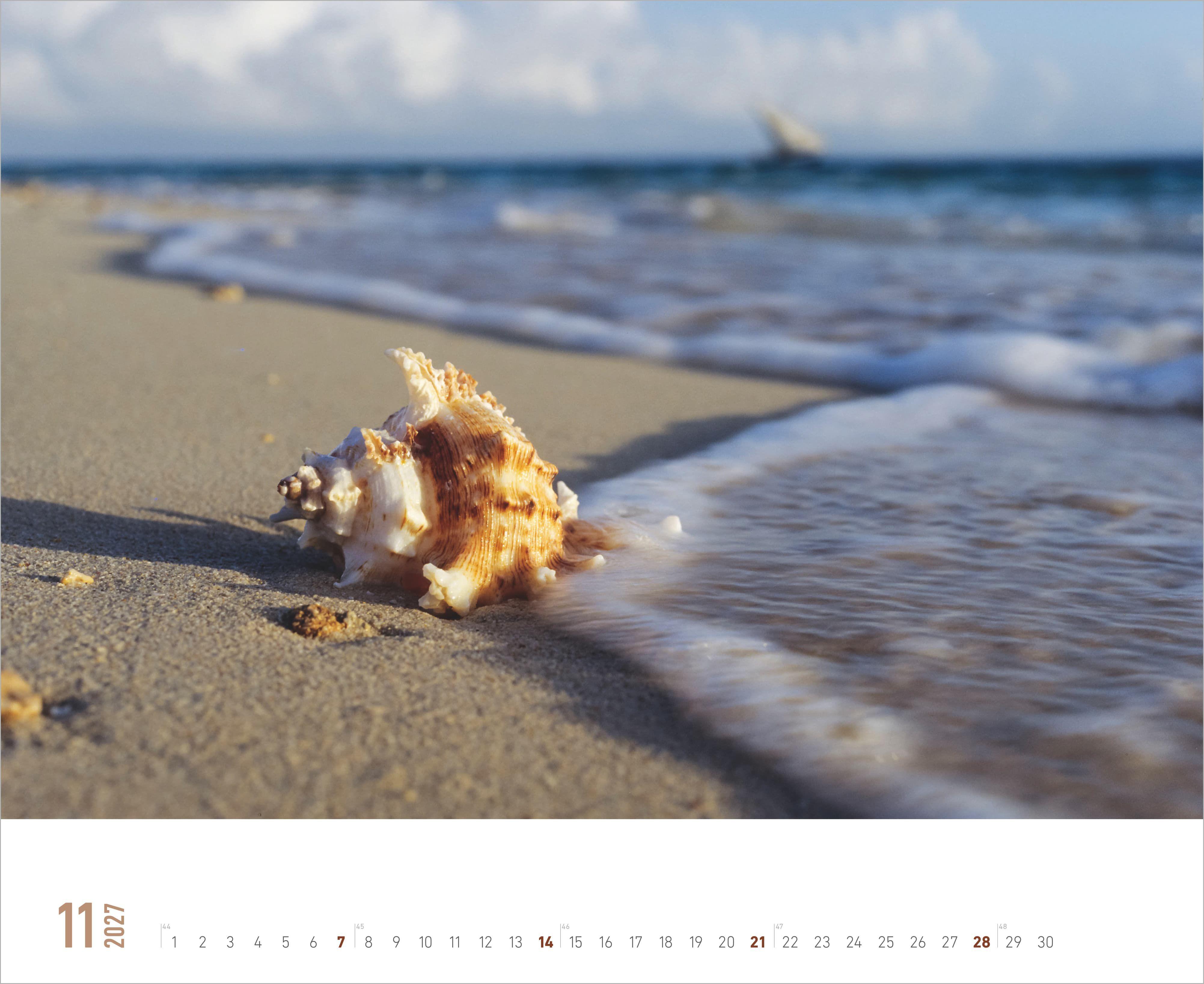 Beispielinhalt (Bild) Meer 2027