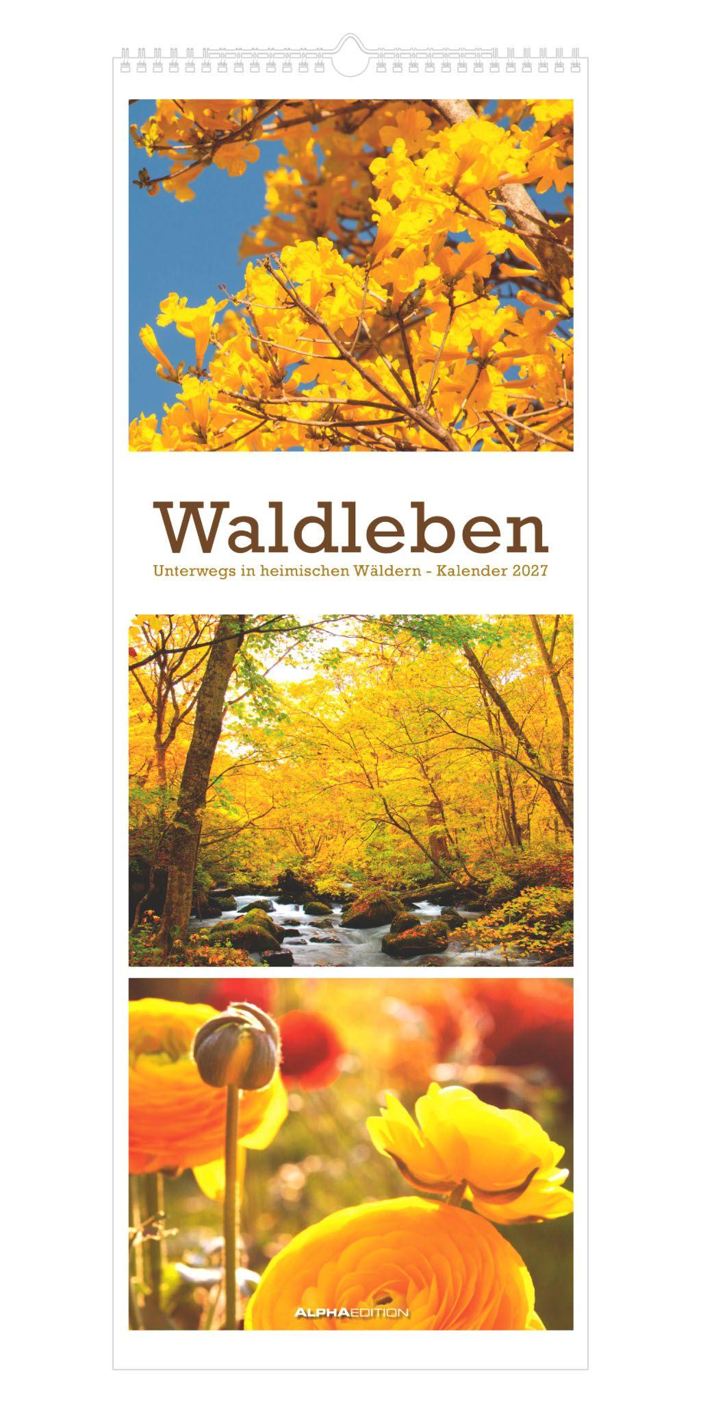 Vorderes Coverbild Waldleben - Triplets 2027