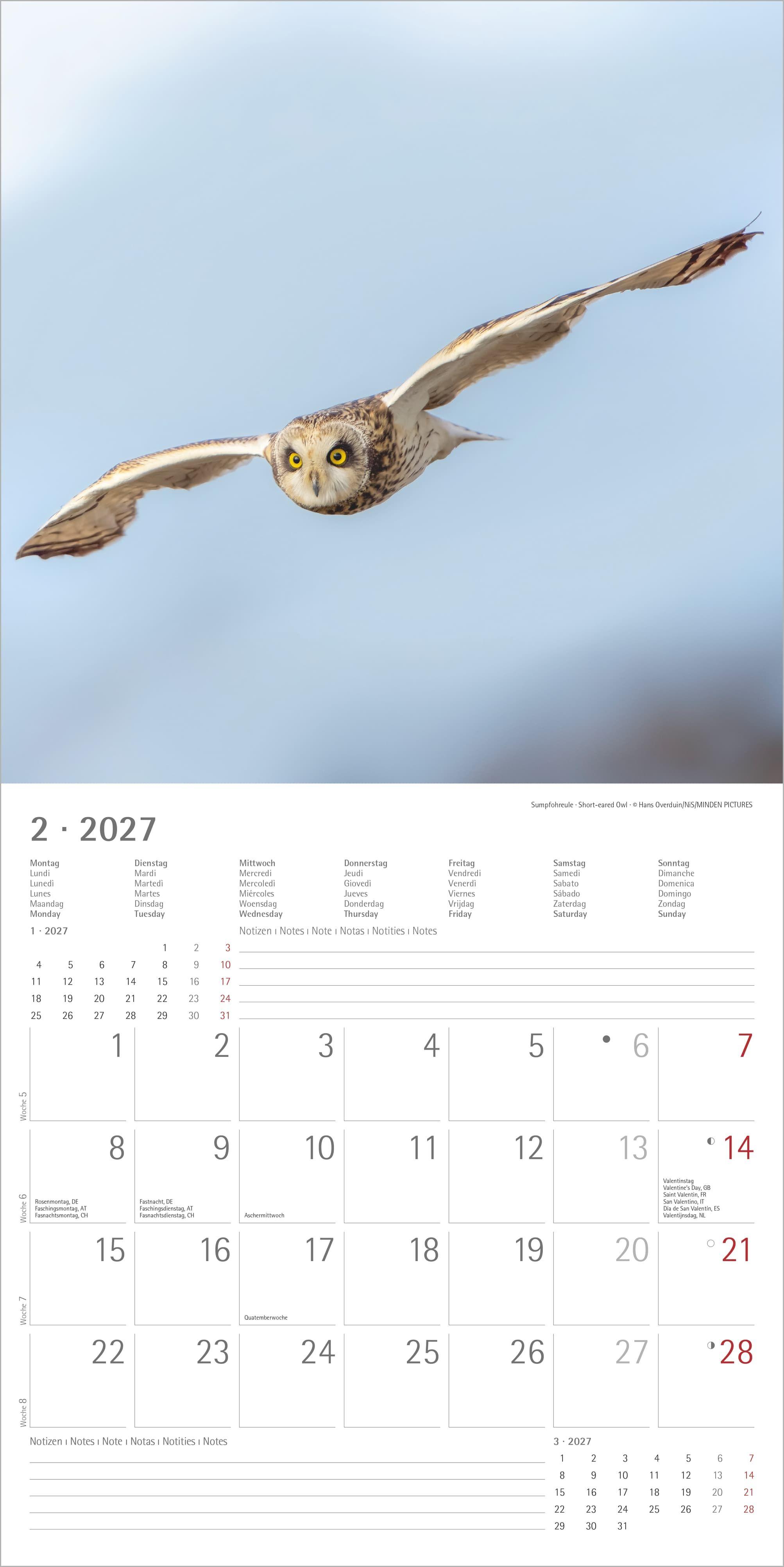 Beispielinhalt (Bild) Eulen 2027
