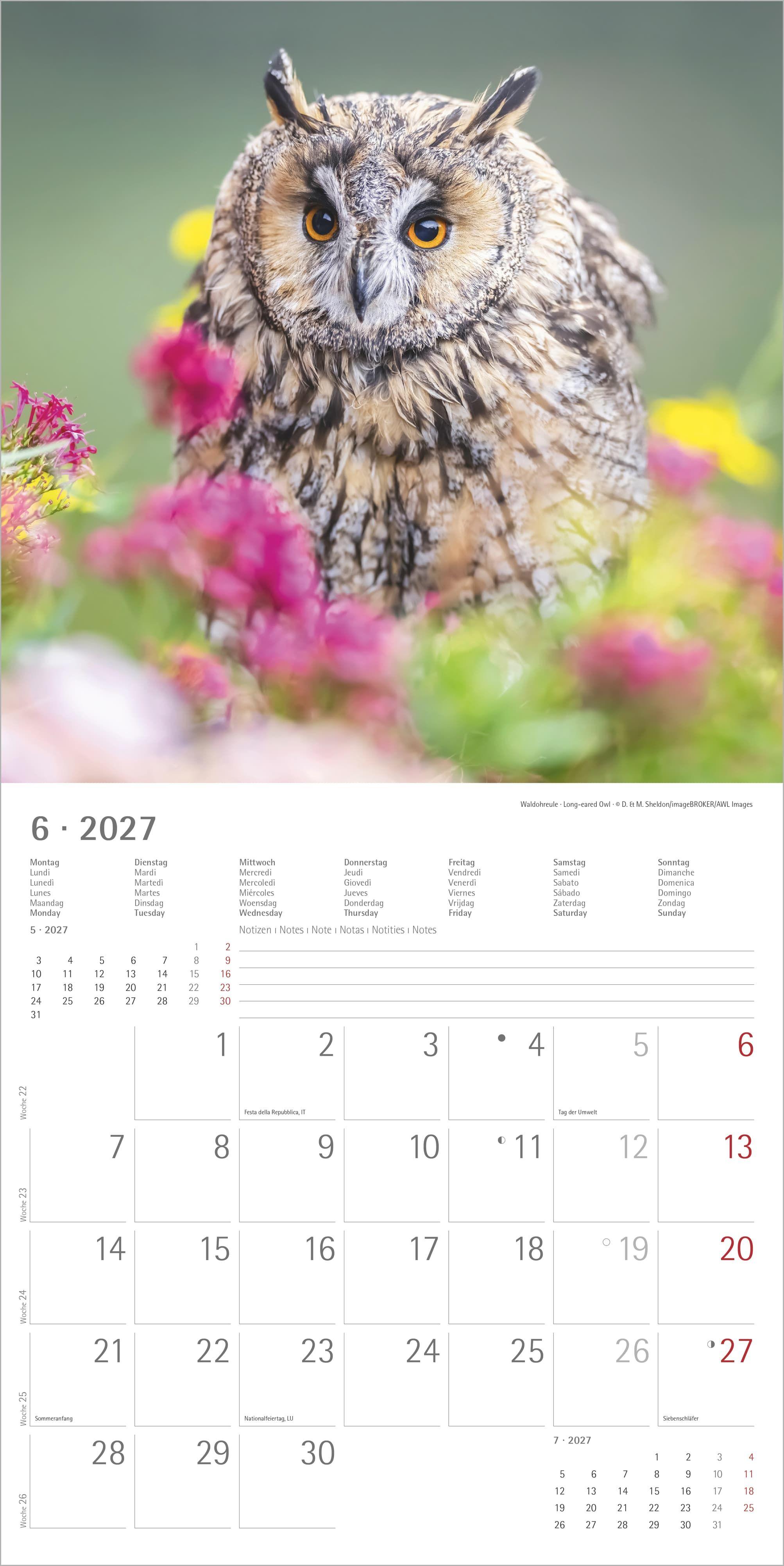 Beispielinhalt (Bild) Eulen 2027