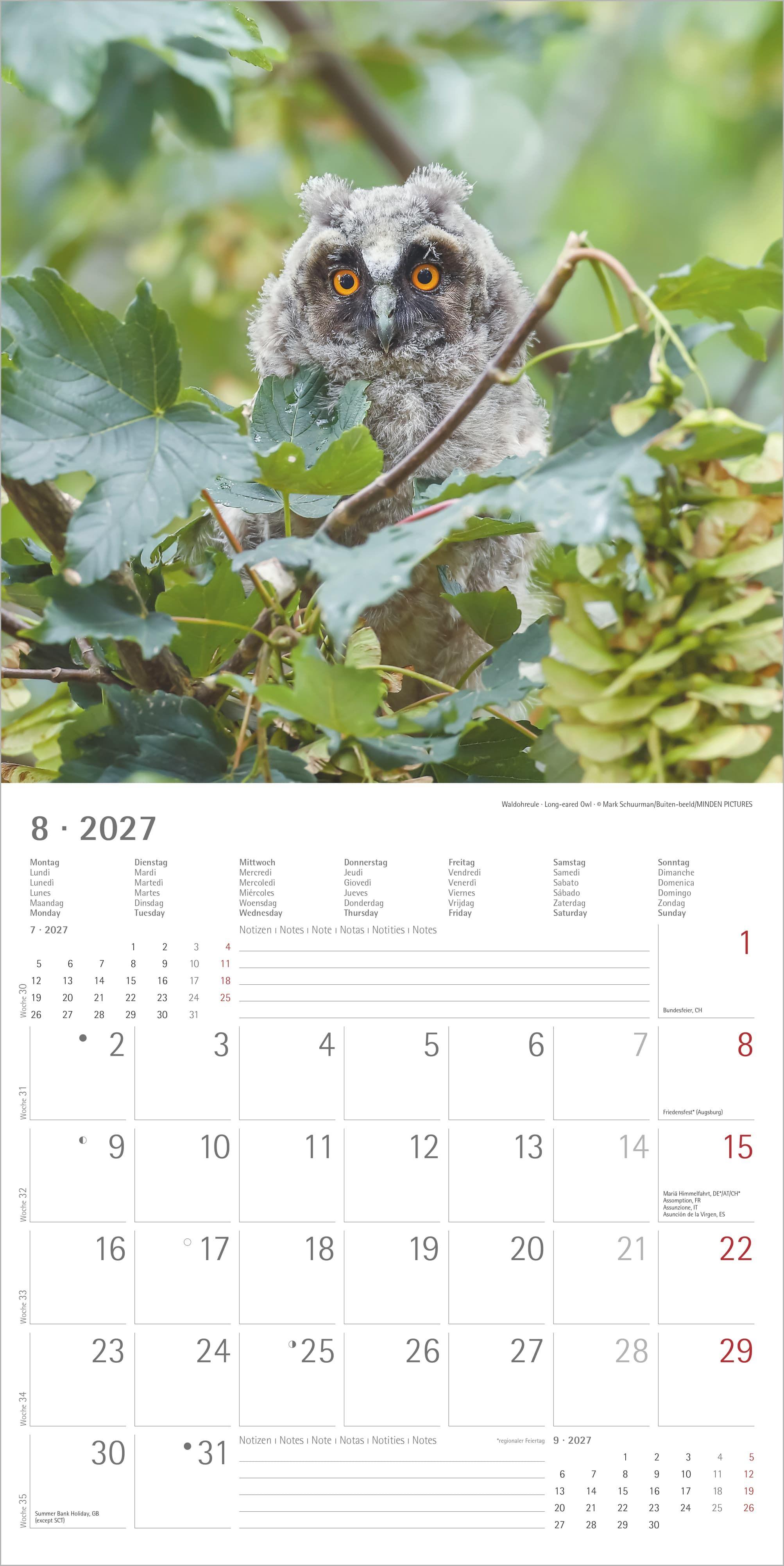 Beispielinhalt (Bild) Eulen 2027