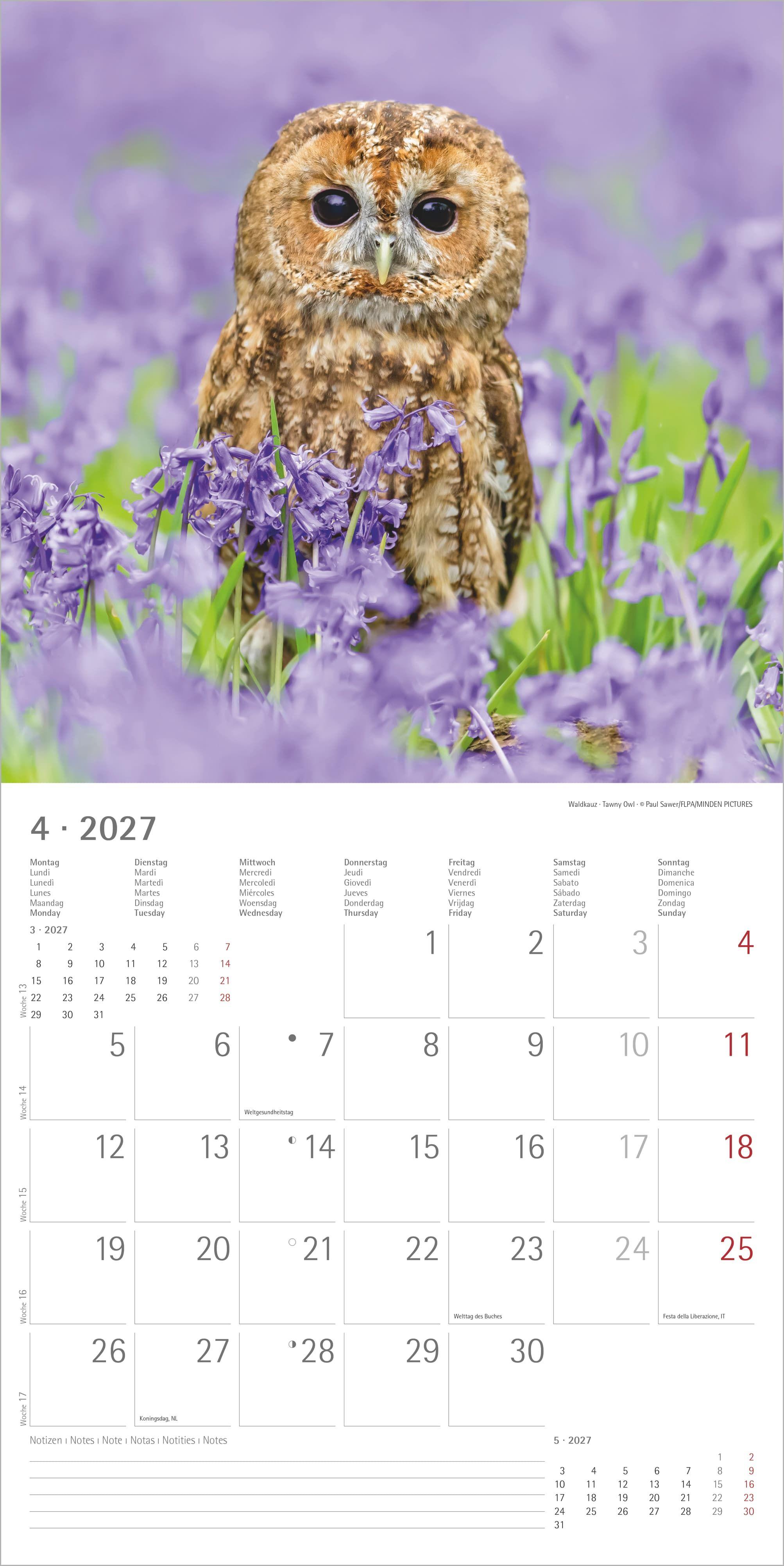 Beispielinhalt (Bild) Eulen 2027