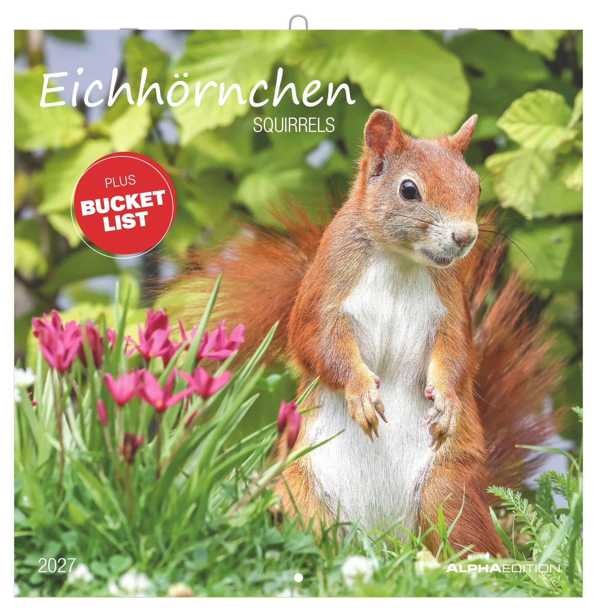 Vorderes Coverbild Eichhörnchen 2027