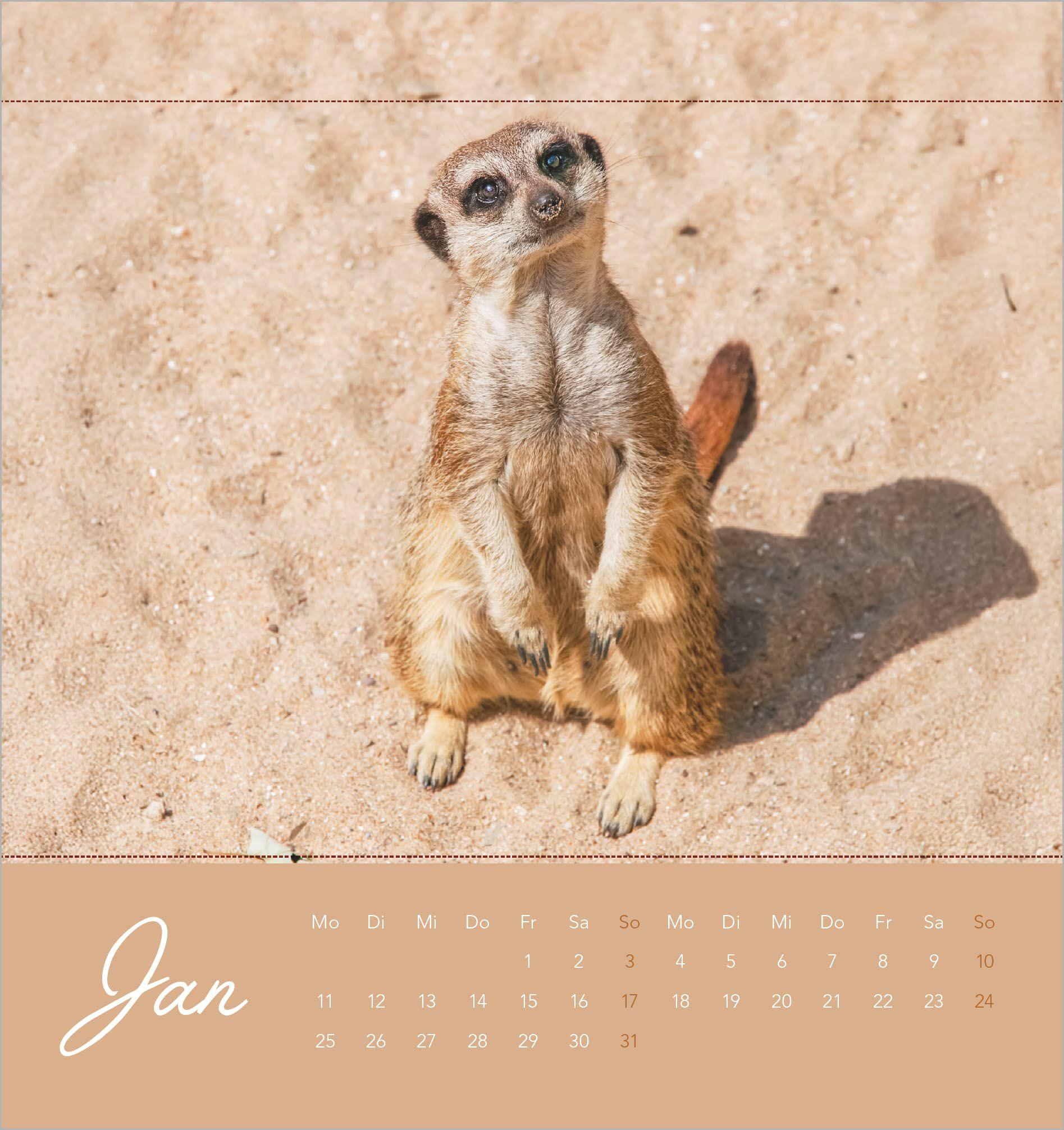 Beispielinhalt (Bild) Freche Erdmännchen 2027