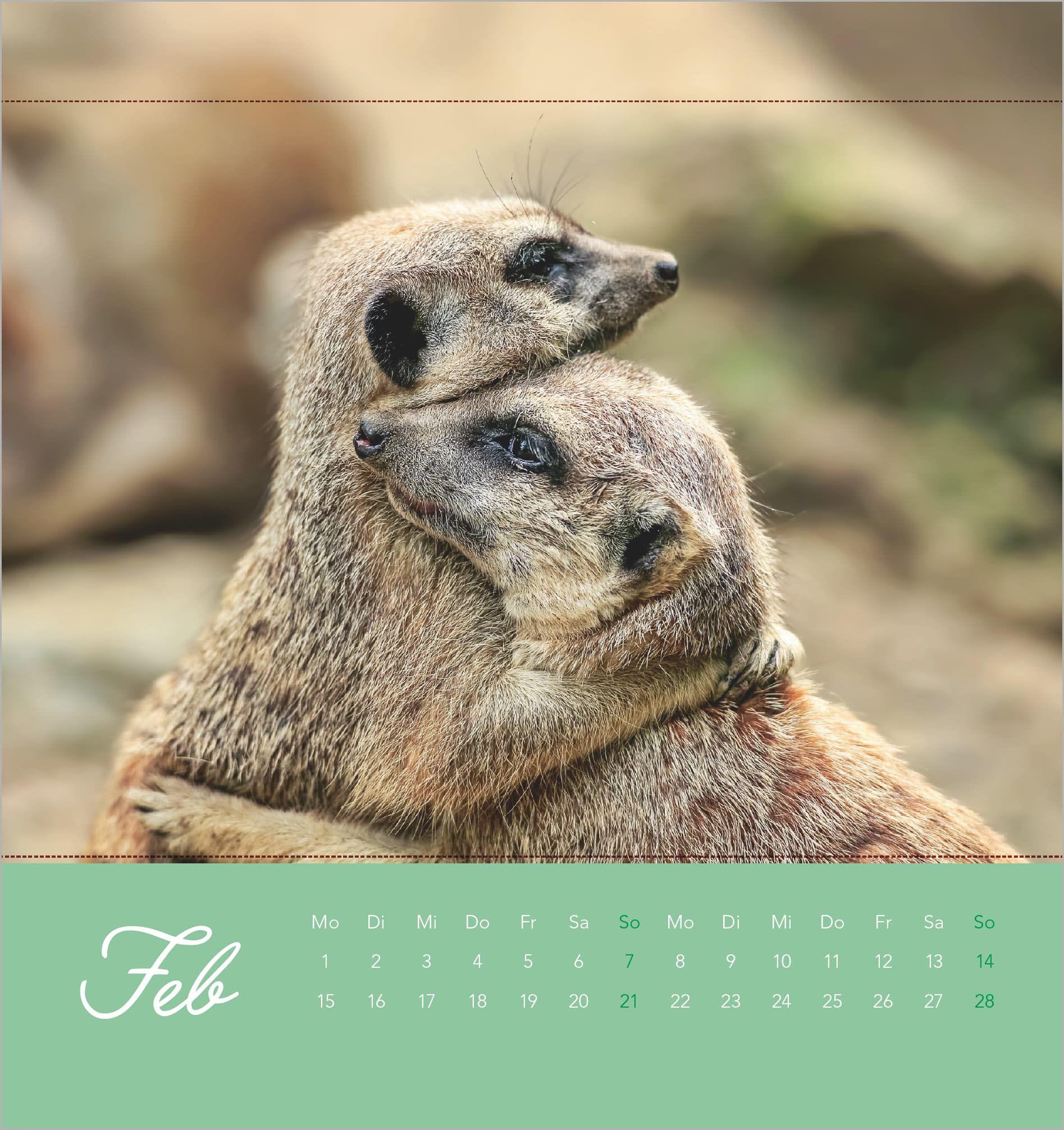 Beispielinhalt (Bild) Freche Erdmännchen 2027